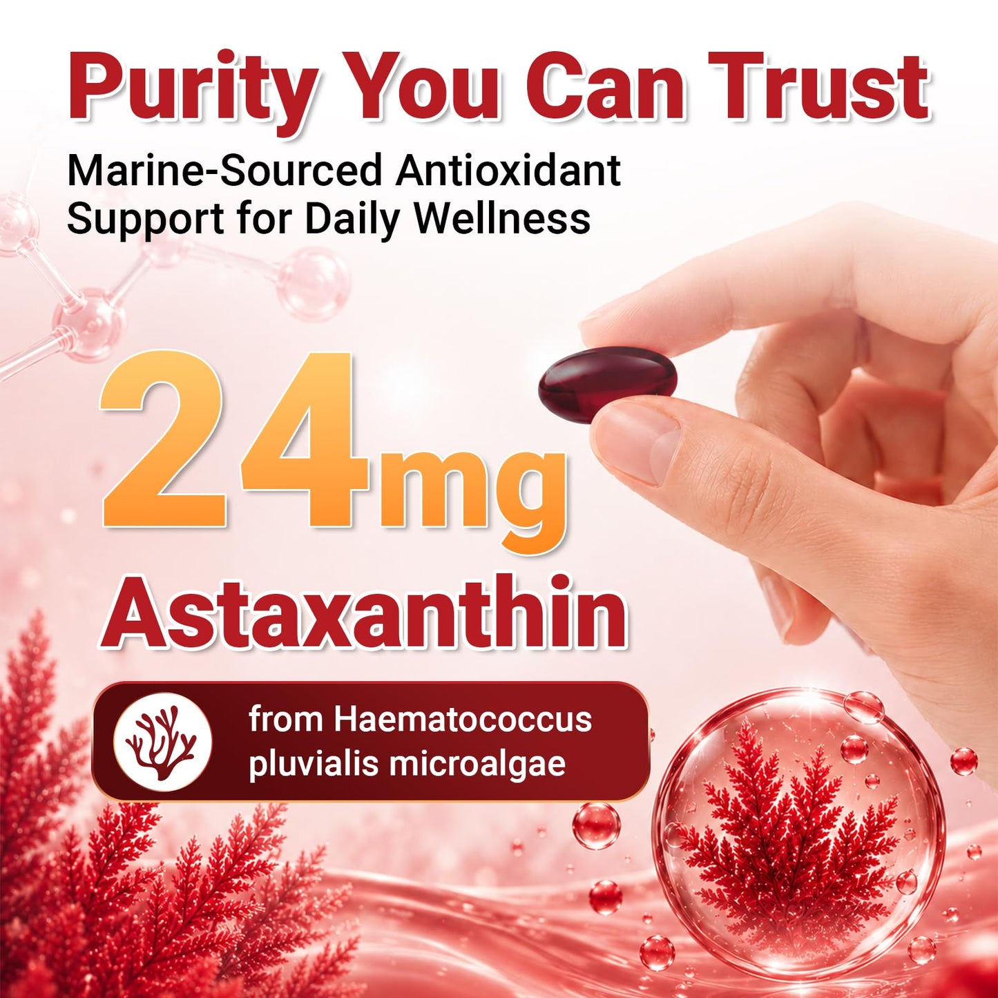 Biorizvo Astaxanthin Supplements 24mg Softgels, 300 Count