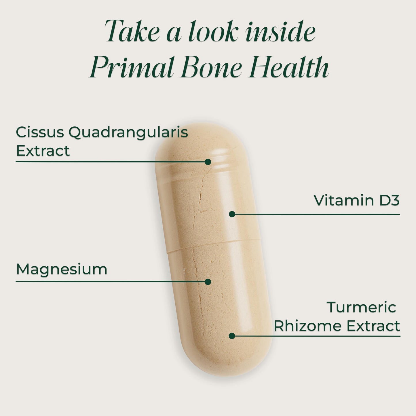 Primal Harvest Primal Bone Health Calcium Carbonate Bone Health Complex for Men & Women with Calcium, Magnesium, Zinc, Manganese, Potassium, & L-Carnitine Capsules, 120 Count