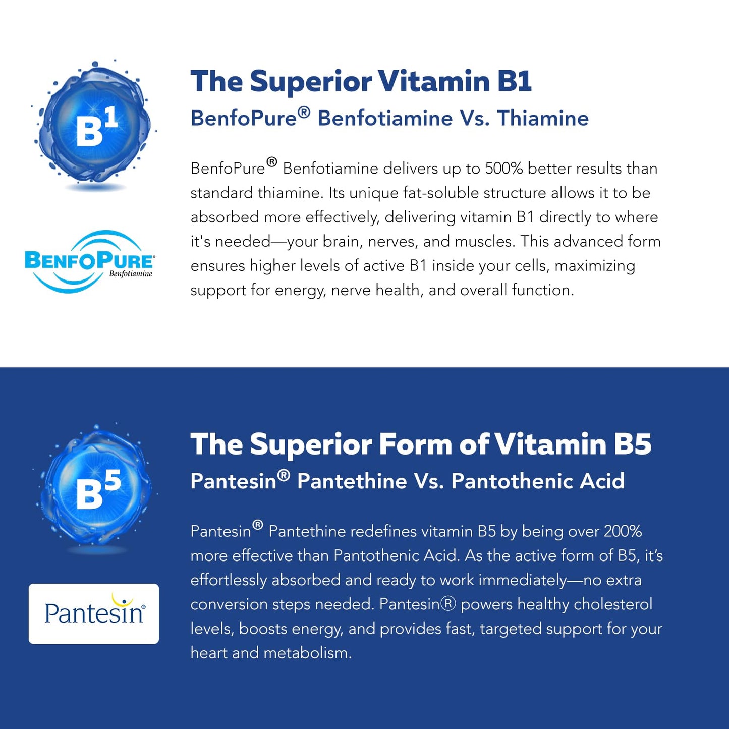 Triquetra Health BioActive Vitamin B Complex Blood Stream Ready, Methylated B Complex Featuring Methylfolate, 3 BioActive Forms of B12, BenfoPure B1 & Pantesin B5, 12 B Vitamins in Clinical Doses Capsules 180 Count