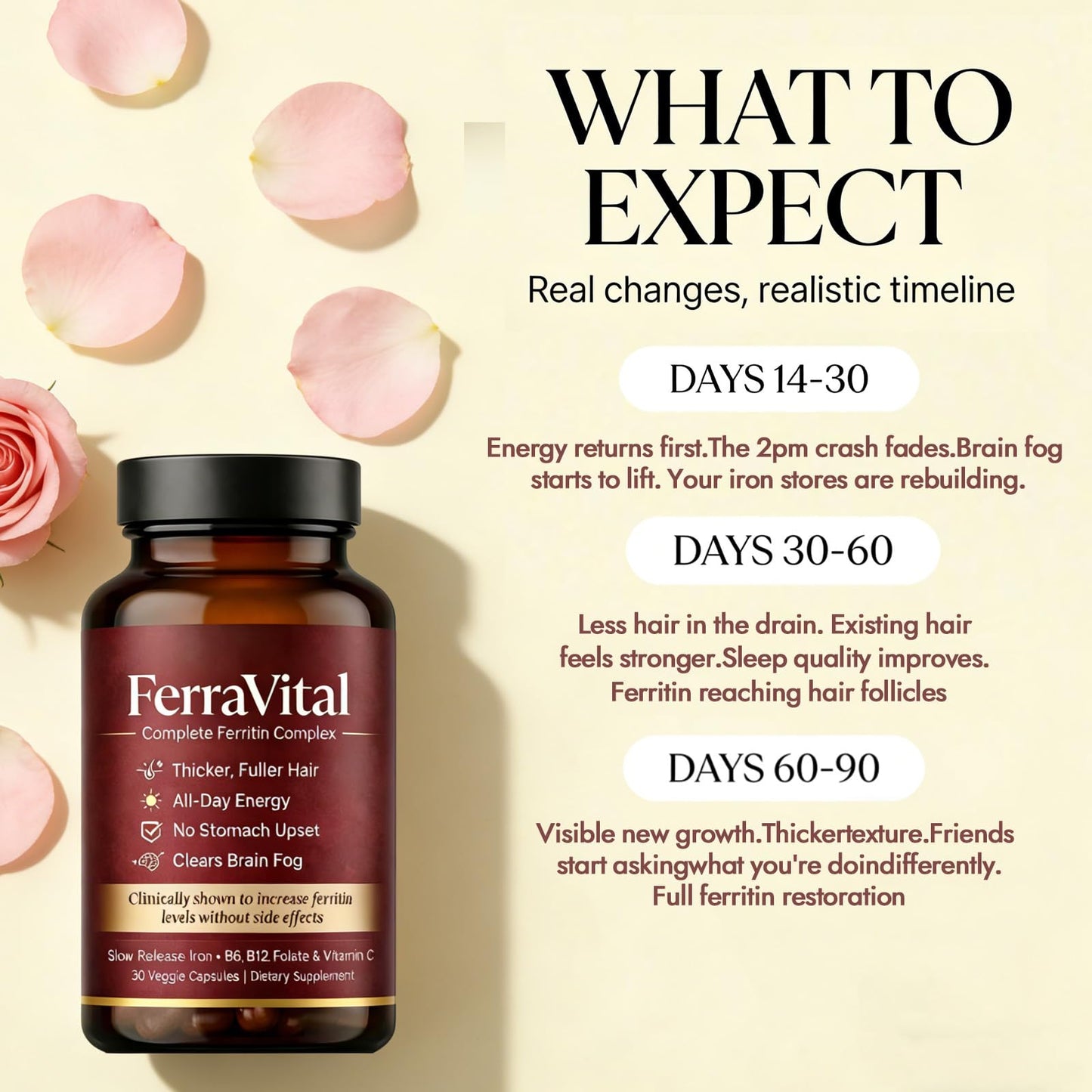FerraVital Ferritin Supplement for Women – Supports Healthy Iron & Energy Levels – with Ferrous Glycine, Vitamins C, B12, B6, Folate, Zinc & Probiotics – 60 Capsules