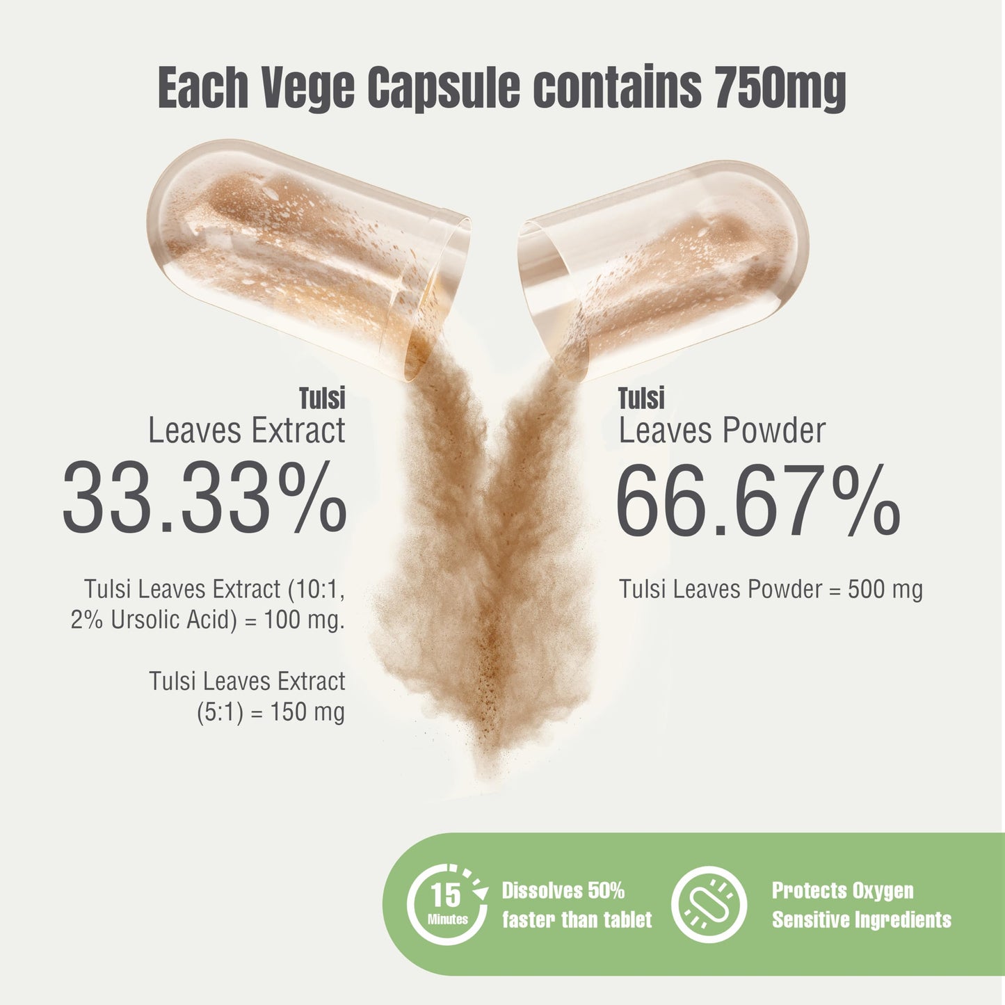 Herbsforever Tulsi Extract Capsules 60 Count