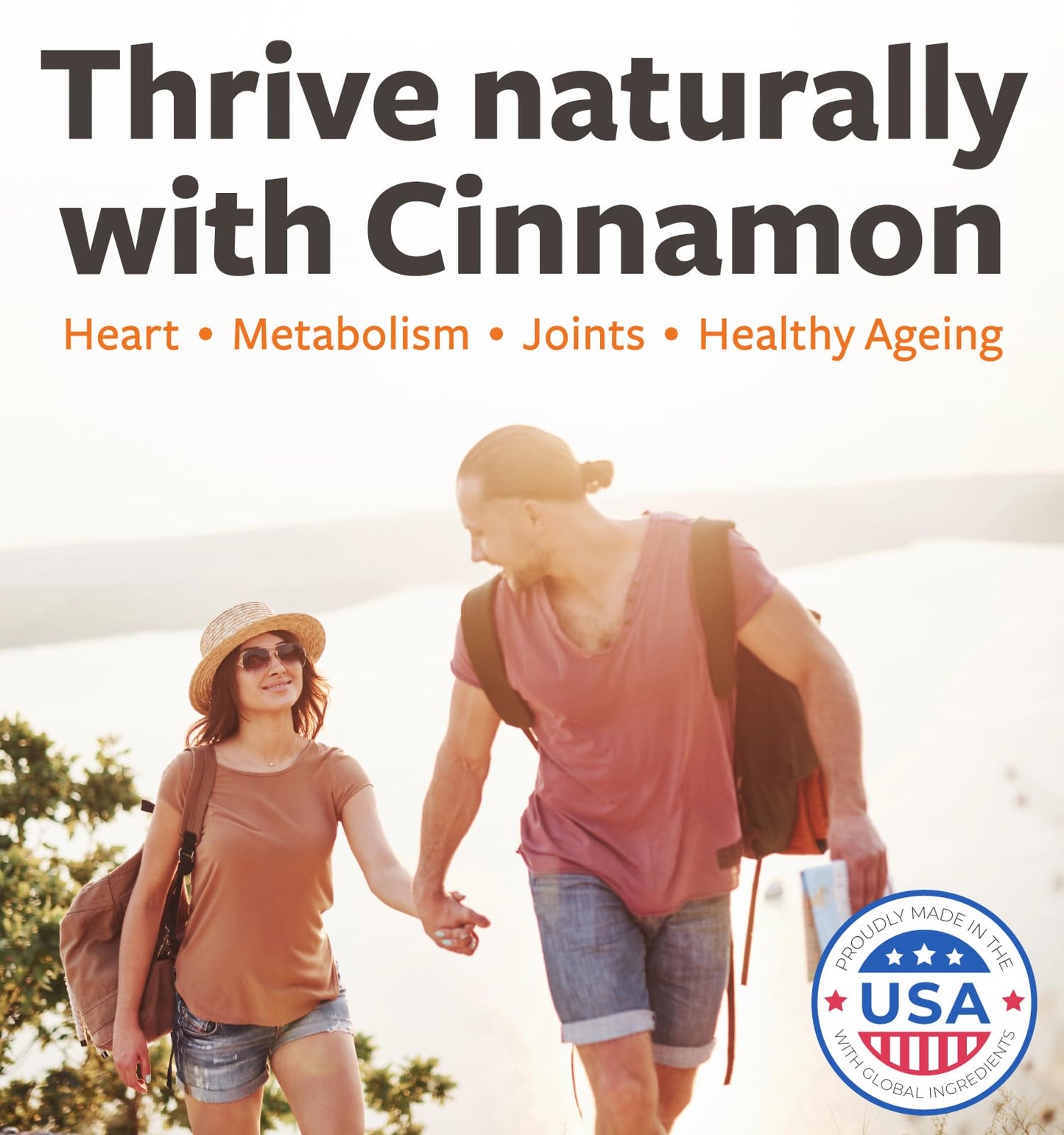 Healths Harmony Ceylon Cinnamon Supplement Tablets 1000mg, 120 Tablets