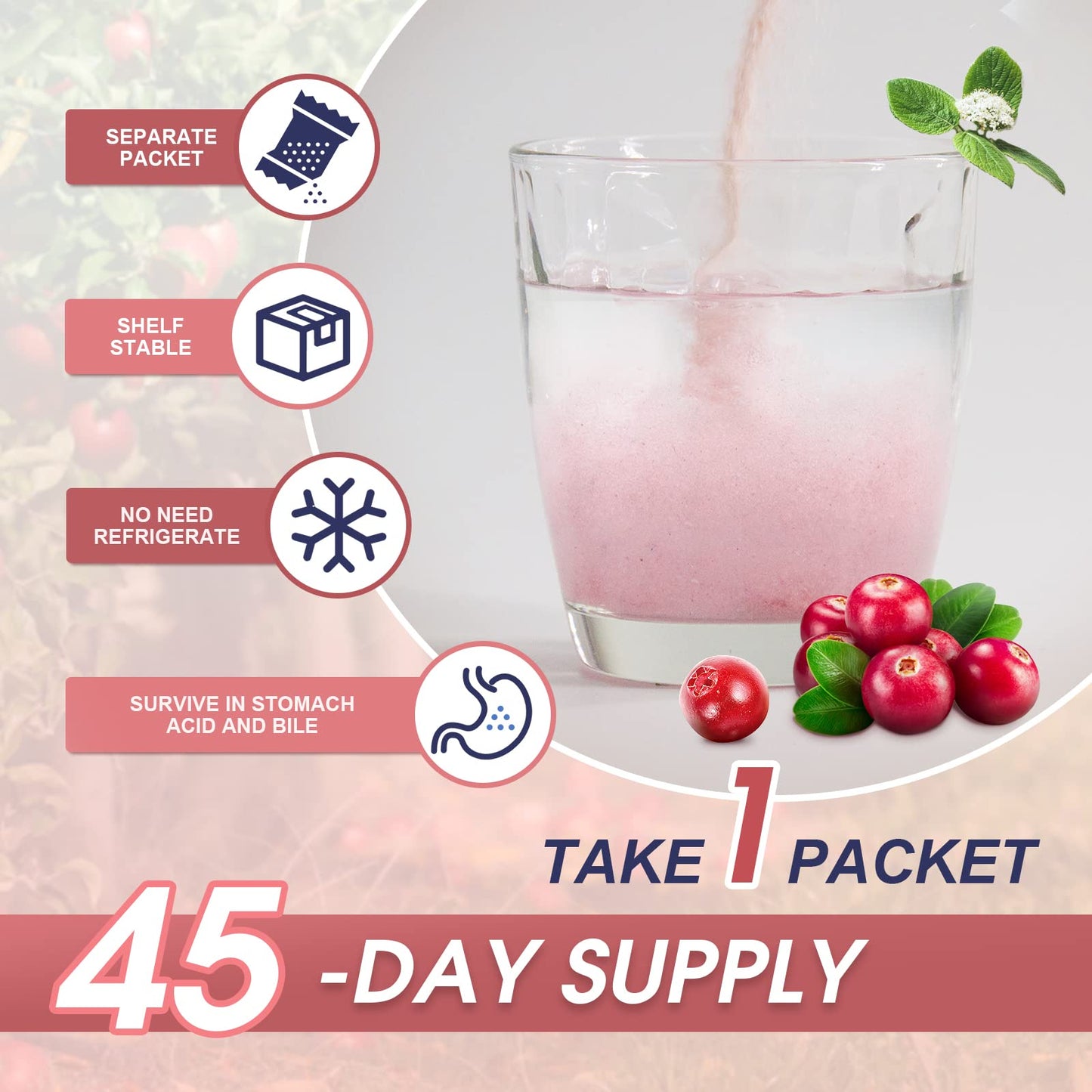 NATURE TARGET Probiotics for Women and Men Capsules 180