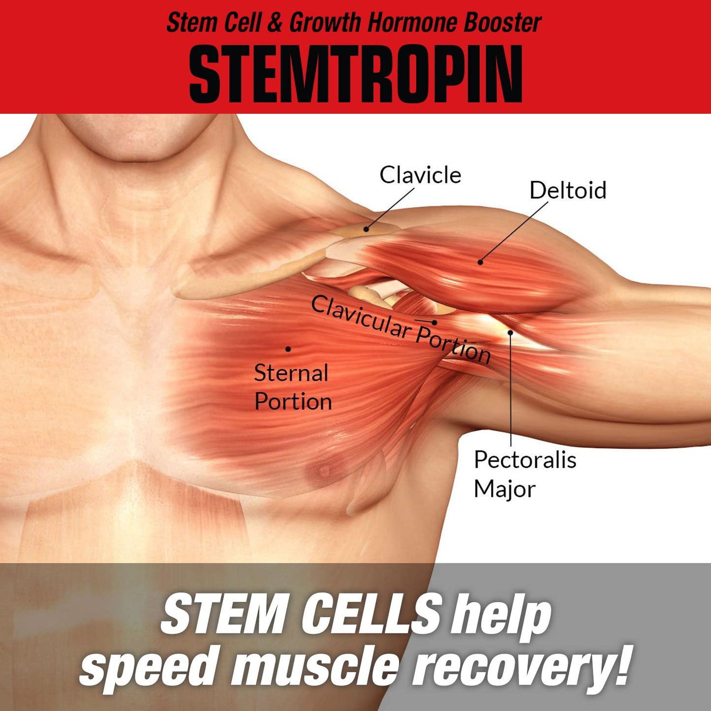 MuscleMeds STEMTROPIN Stem Cell & Growth Factor Booster Capsule 1