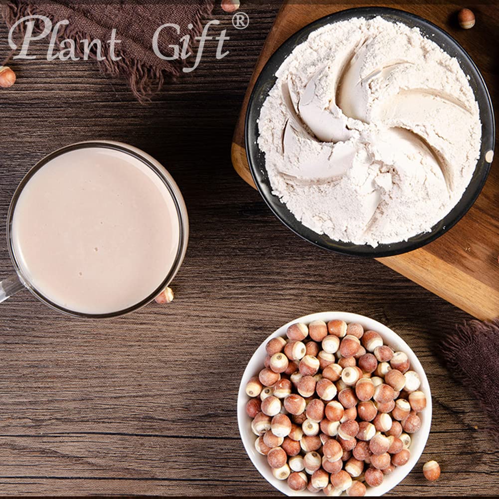 Plant Gift Euryales Semen Powder 3.53 oz