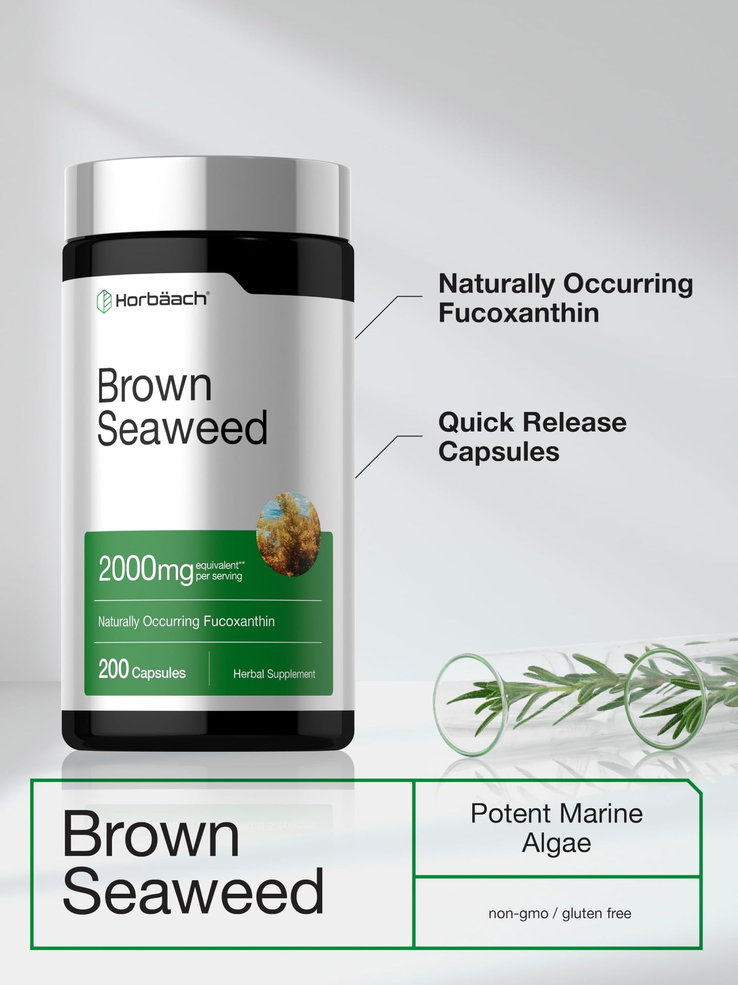 Horbäach Brown Seaweed Extract Capsules 200