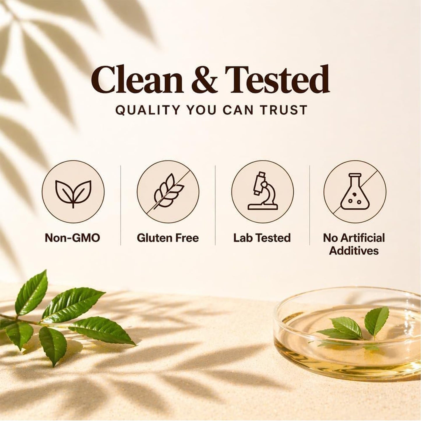 Metabolae Ceylon Cinnamon with MCT Oil Softgels 300 Count