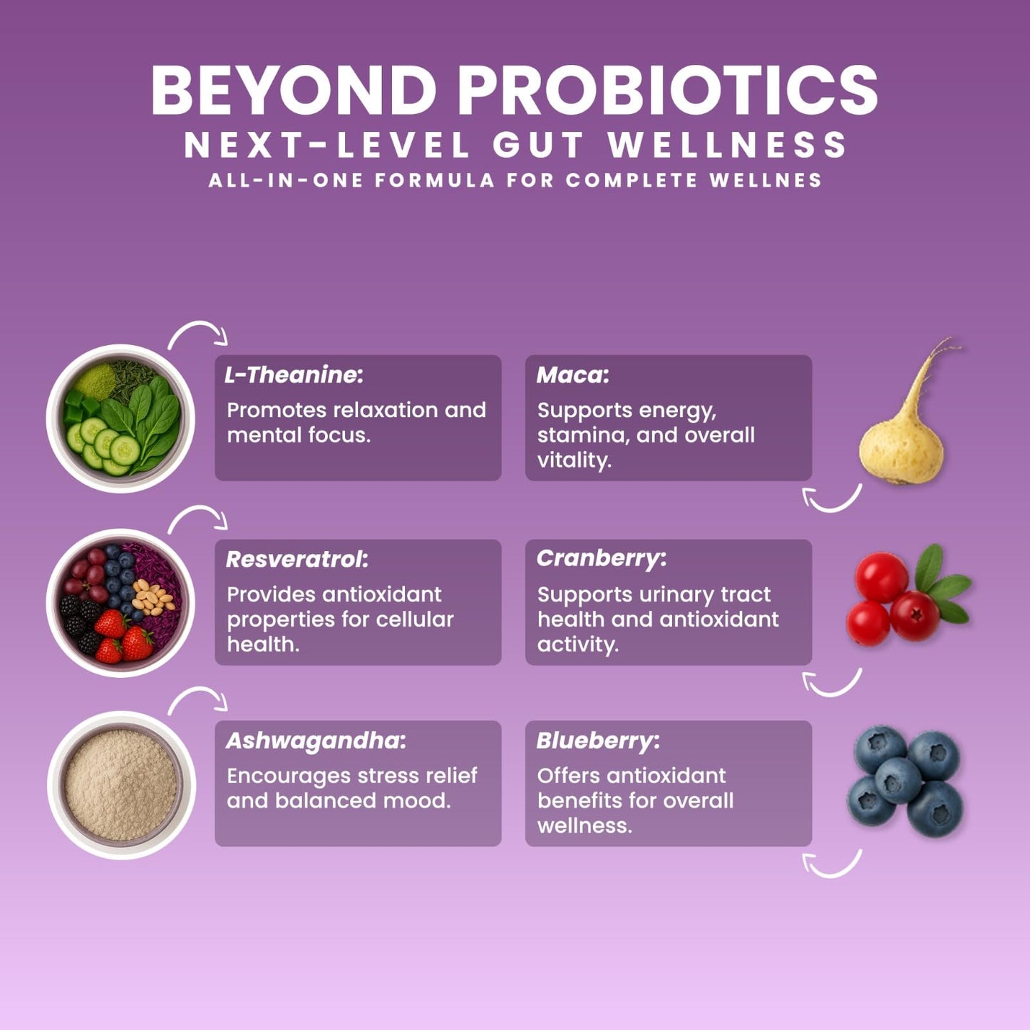 NEXT-MICROBIOME Boost Synergy Probiotic Akkermansia Muciniphila, Clostridium Butyricum HMO Ashwagandha Capsules 60 Count