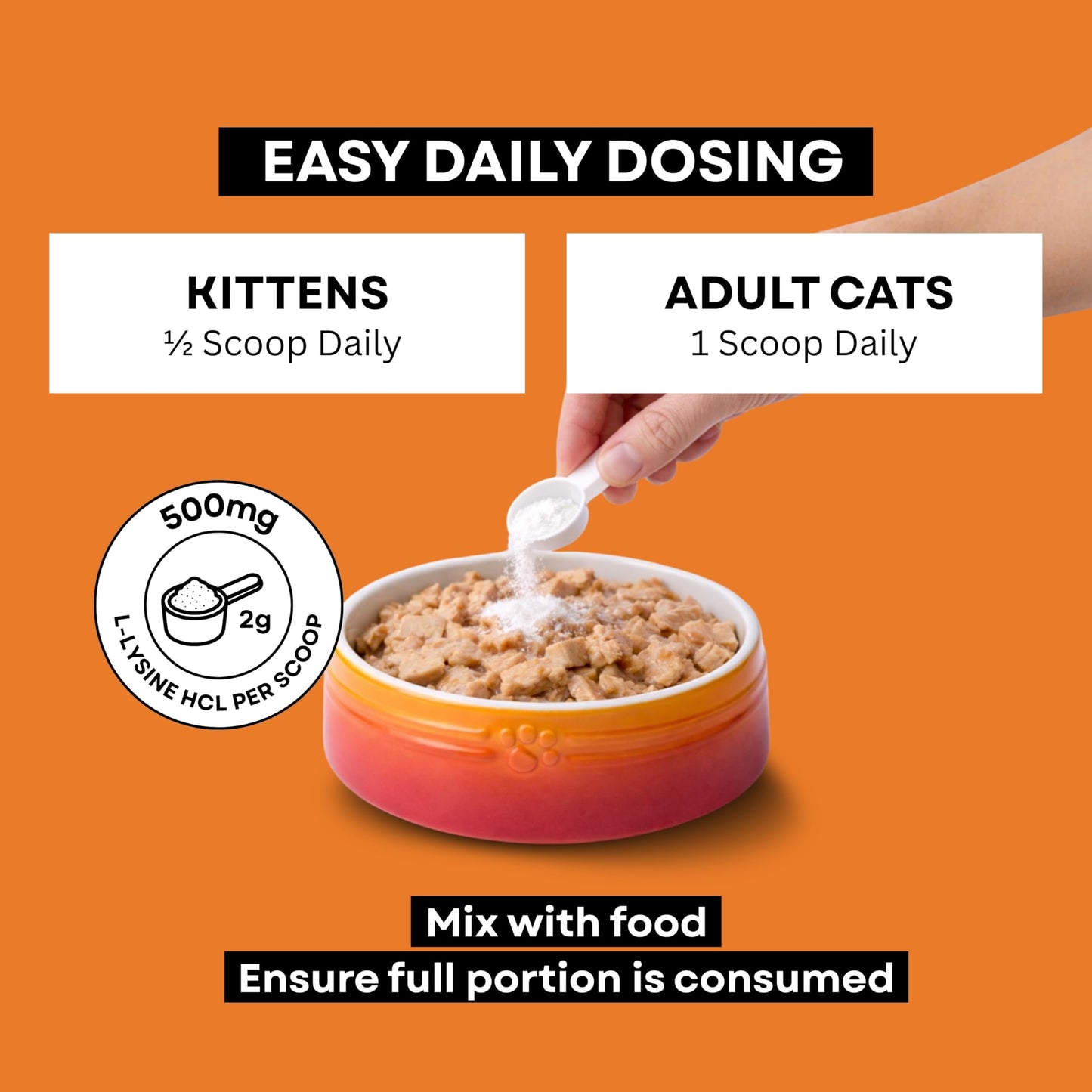 NOVEHA L-Lysine Powder for Cats and Kittens 500mg, Natural Salmon Flavor, 150 g
