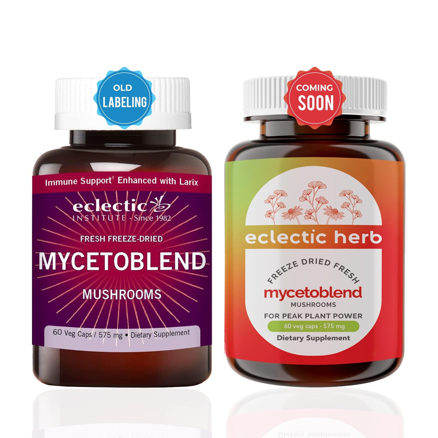ECLECTIC INSTITUTE Mycetoblend Mushroom Capsules, 60 Count