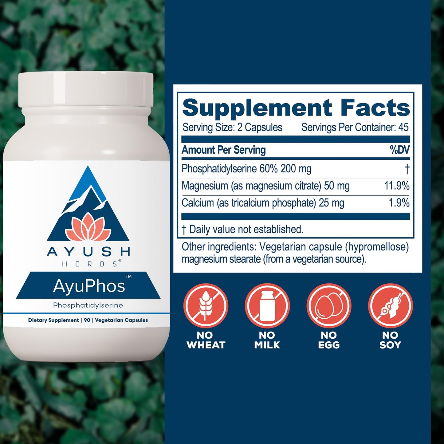Ayush Herbs AyuPhos Brain & Memory Support Capsule 90 Count