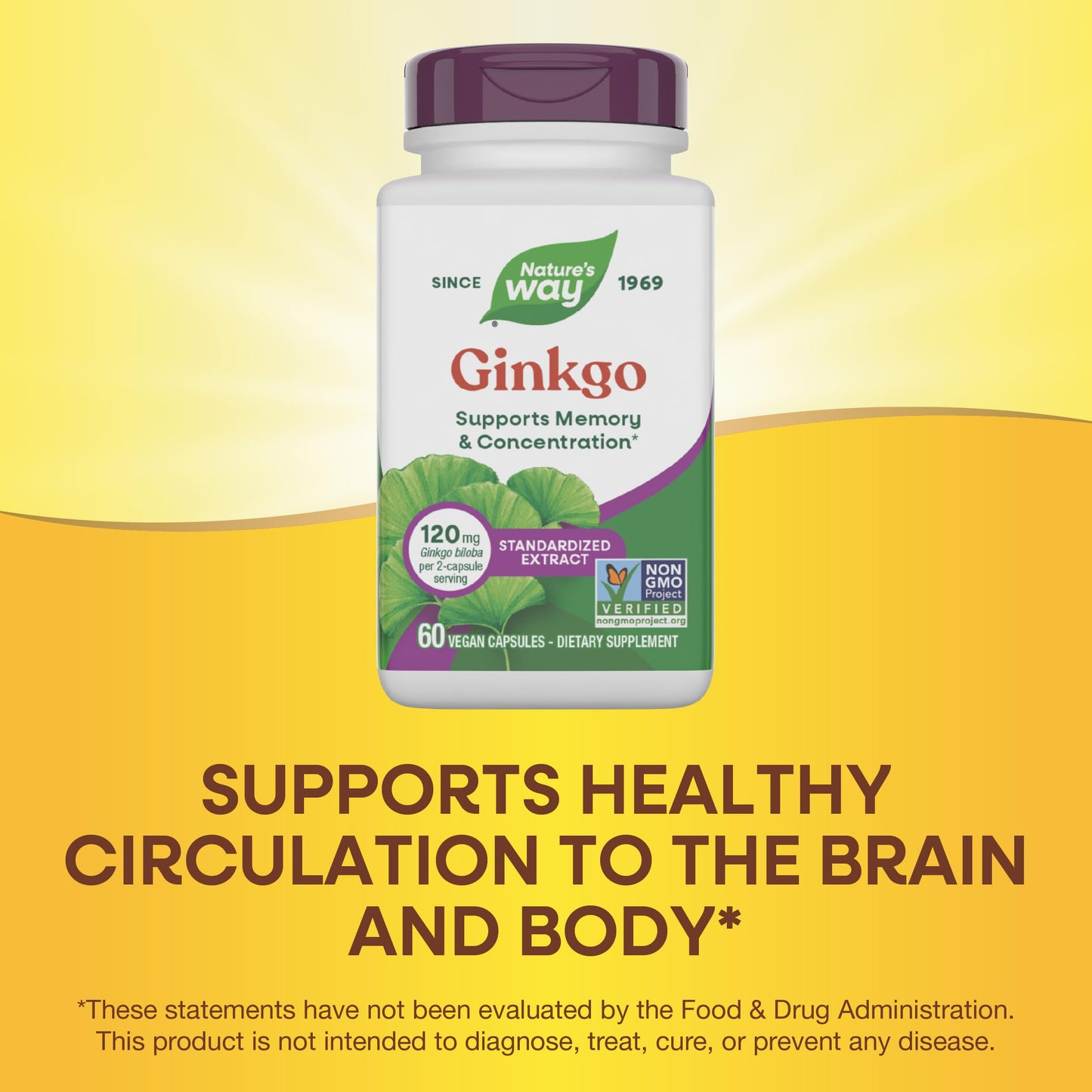 Nature's Way Ginkgo Premium Extract Capsules 60 Count