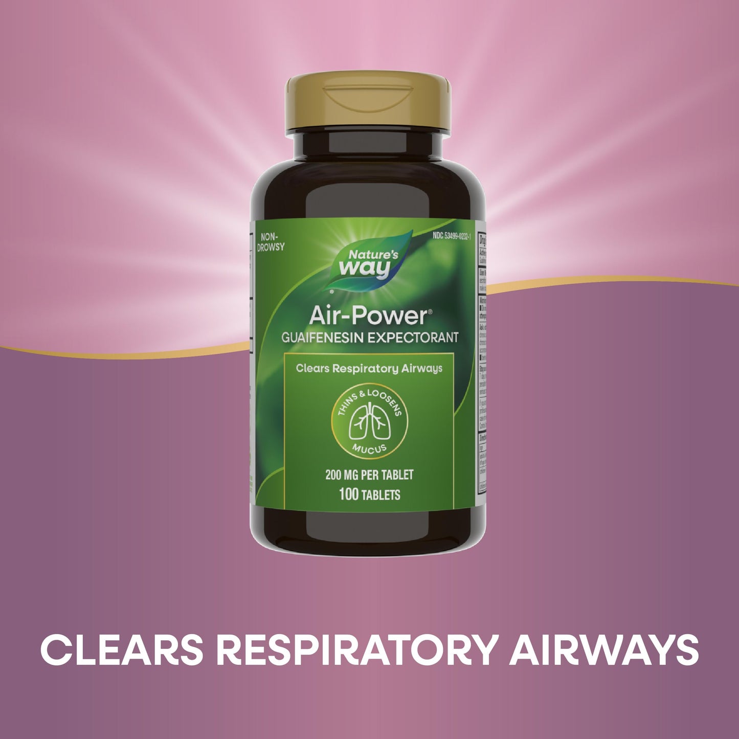 Nature's Way Air-Power Guaifenesin Expectorant Mucus Relief, 100 Tablets