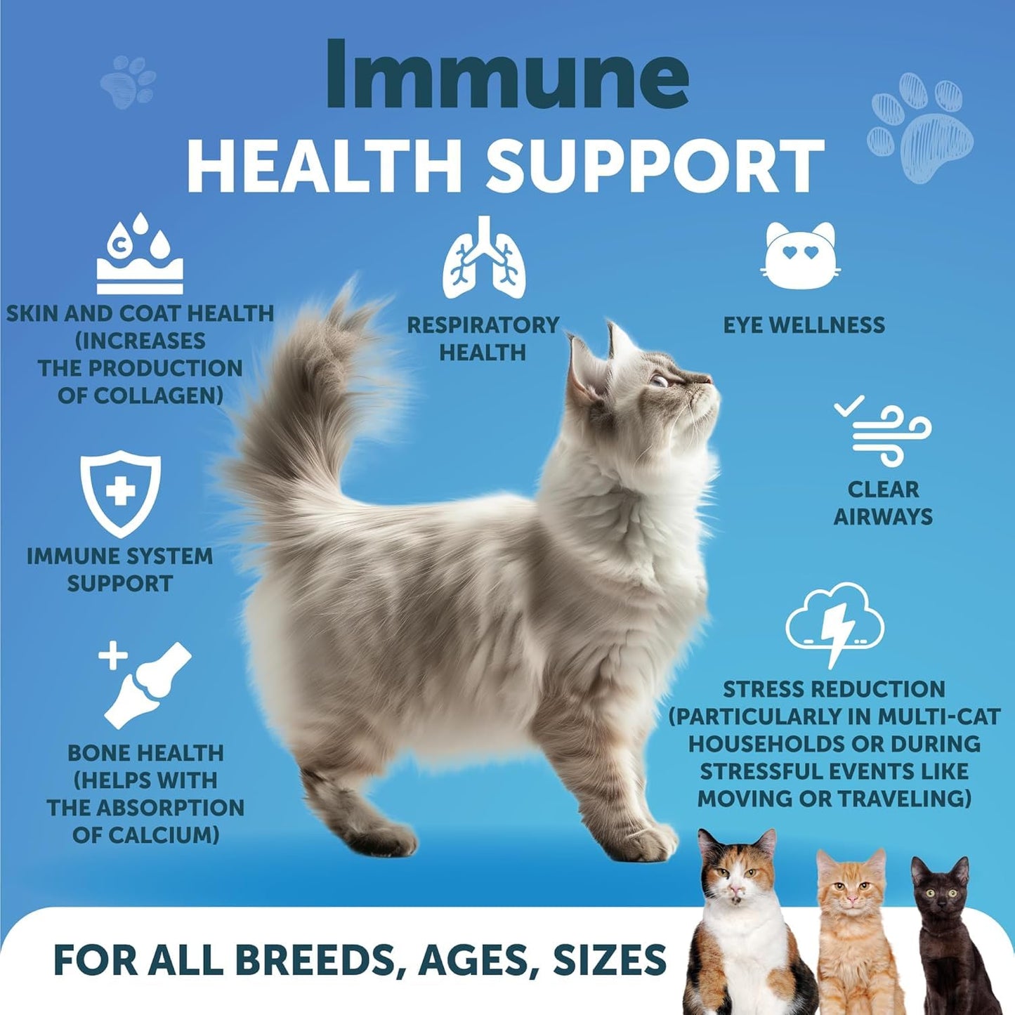Artullano L-Lysine for Cats Lysine Powder Supplement 4.23 Ounce