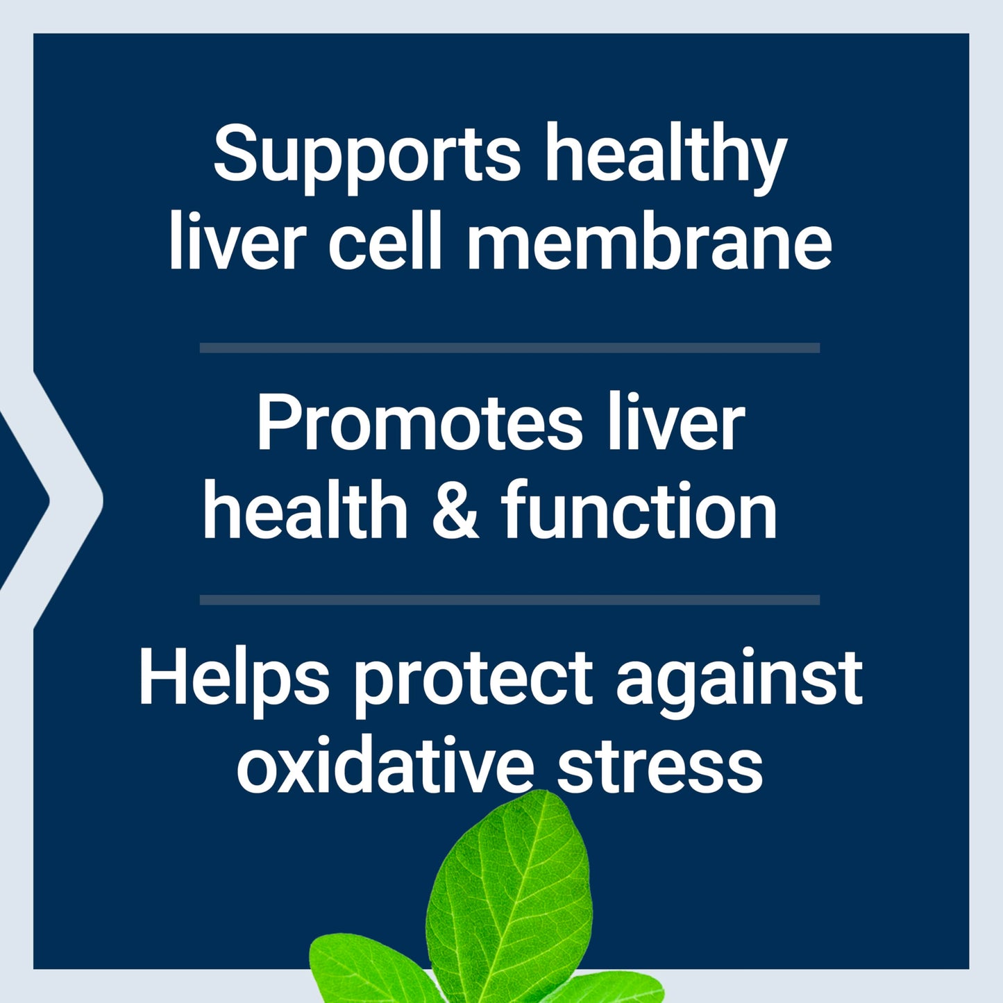 Life Extension HepatoPro 900 mg Softgels, 60 Count