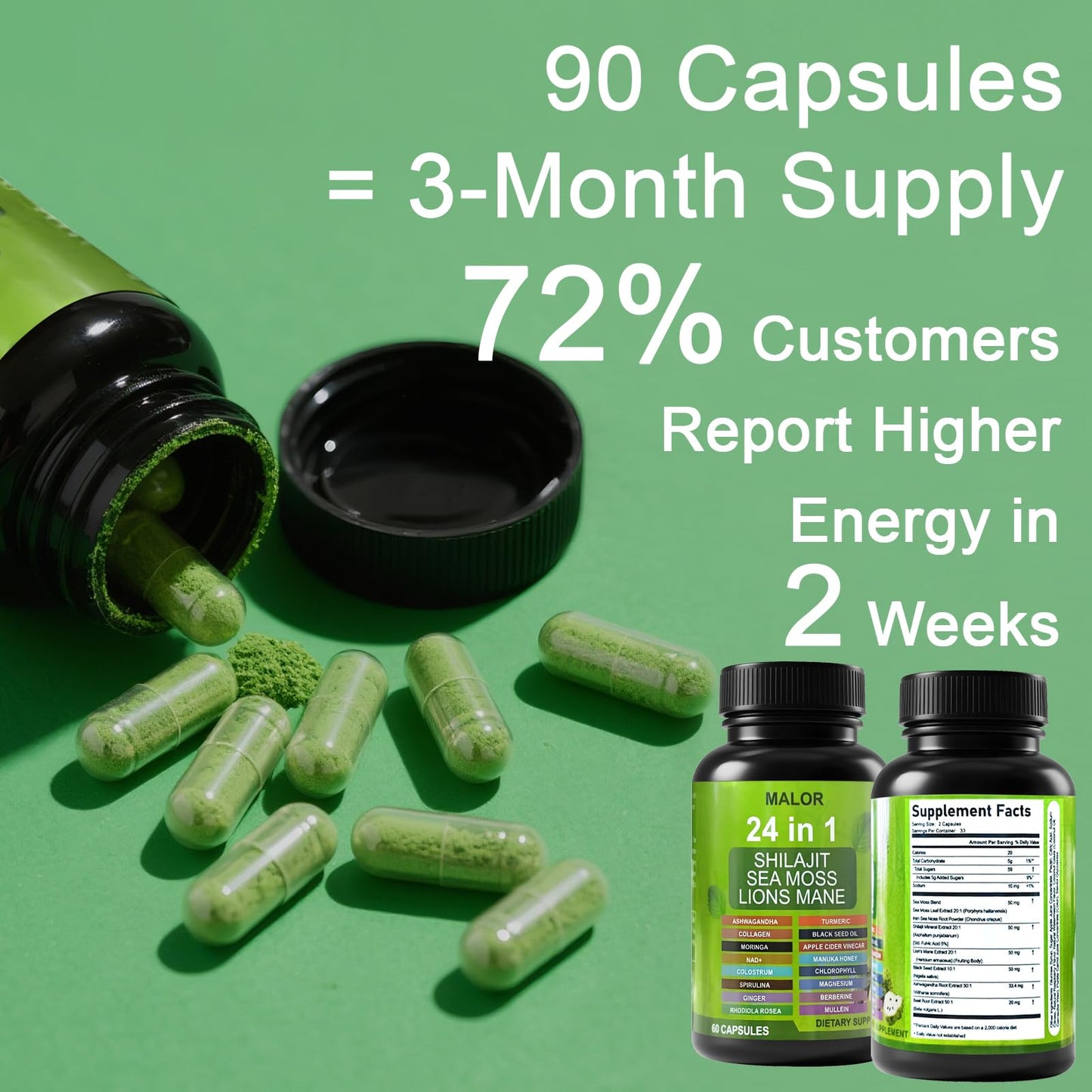 BENIX 24 in 1 Soursop Graviola Capsules, 60 Capsules