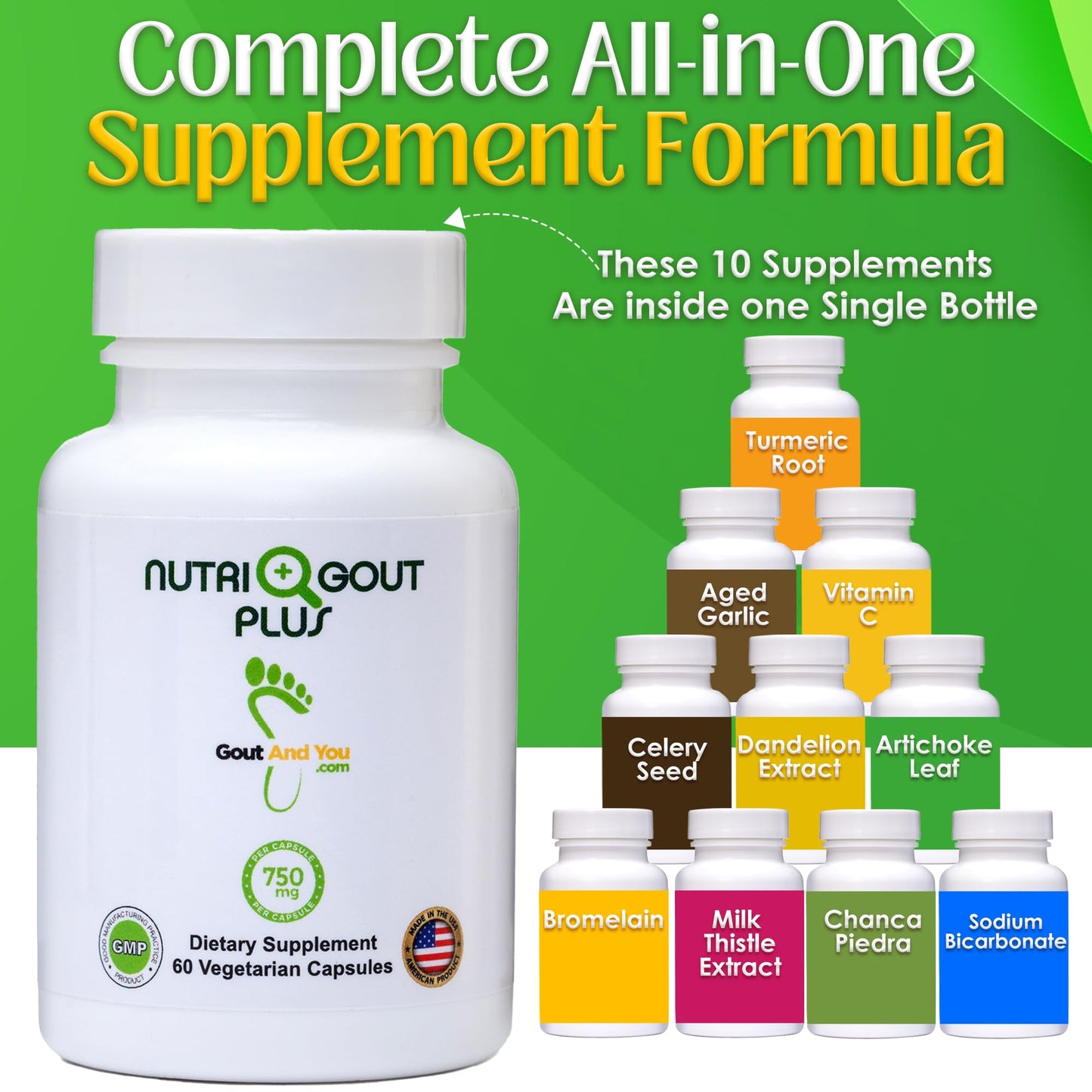 Gout and You NutriGout Plus Uric Acid Support Premium Formula Capsule 60 Count