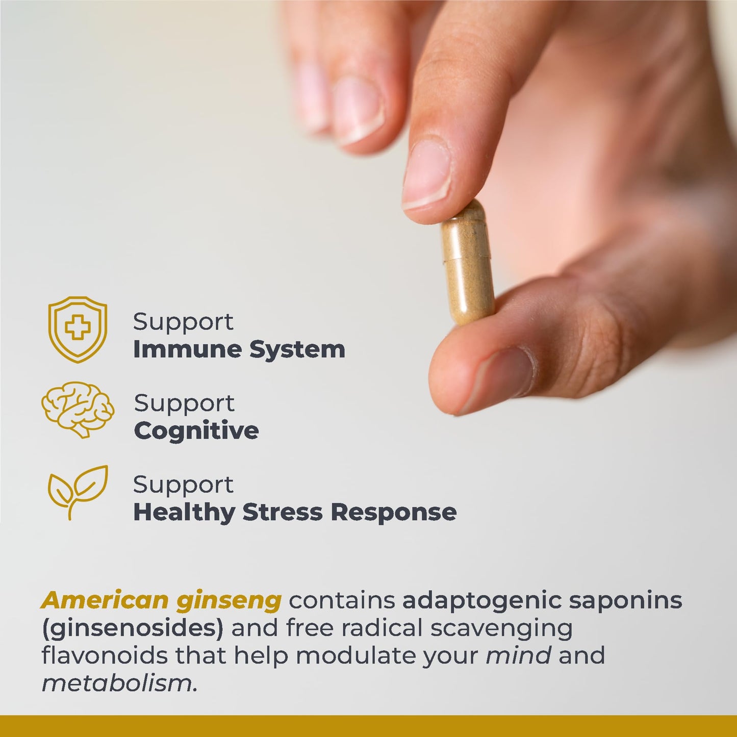Premier Research Labs American Ginseng Supplement, 60 Capsules