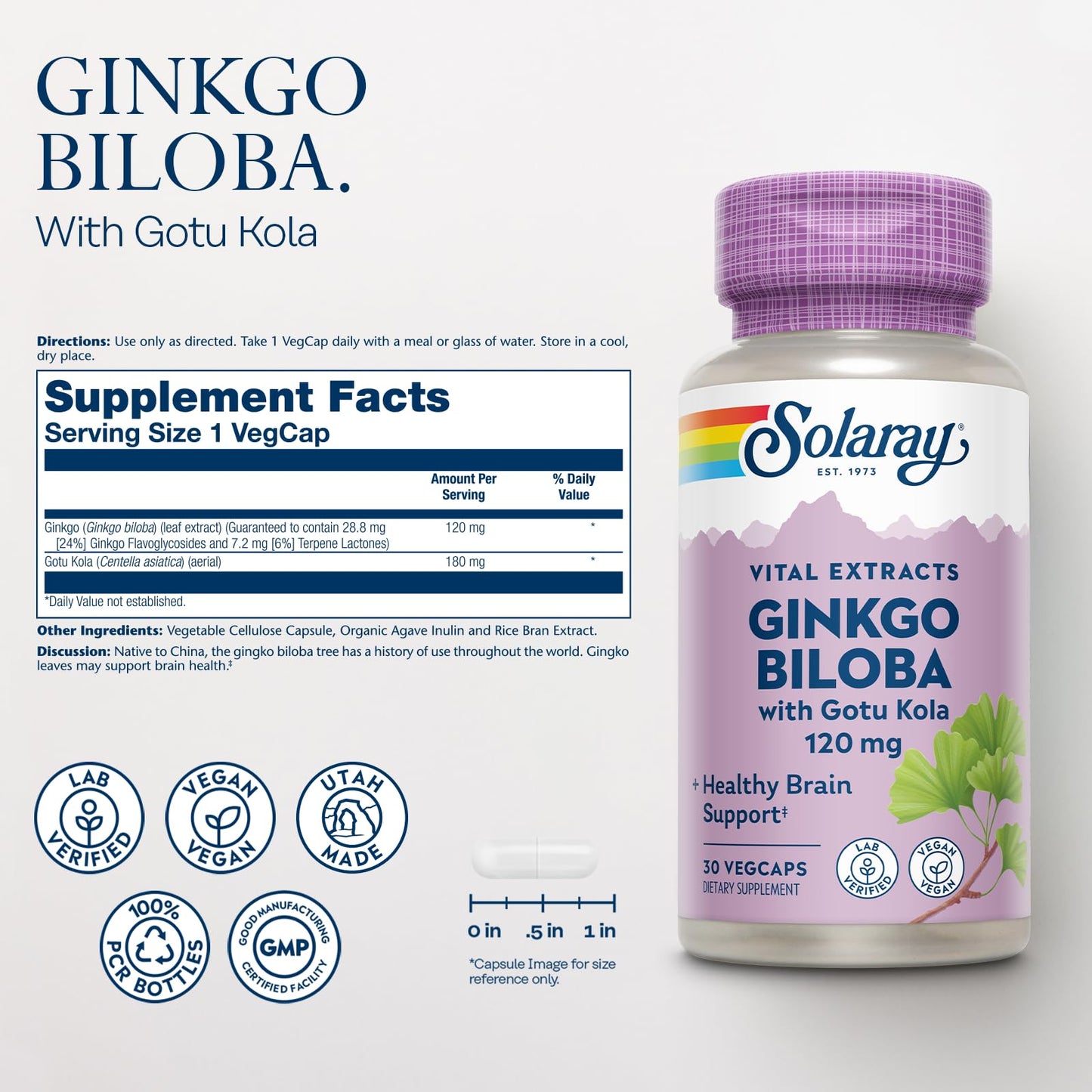 SOLARAY Ginkgo Biloba Extract with Gotu Kola Capsules, 30 VegCaps
