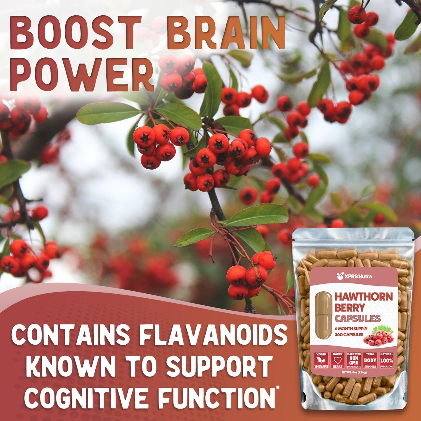 XPRS Nutra Hawthorn Berry Capsules, 360 Capsules