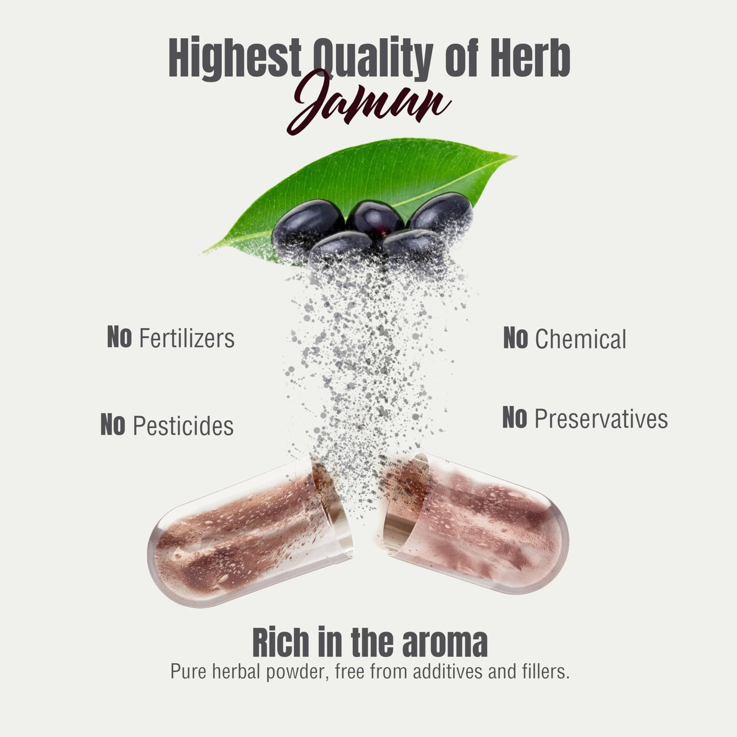 Herbsforever Jamun Capsules Eugenia Jambolana Seeds Extract Ratio (10:1) Wellness Supplement, 60 Capsules