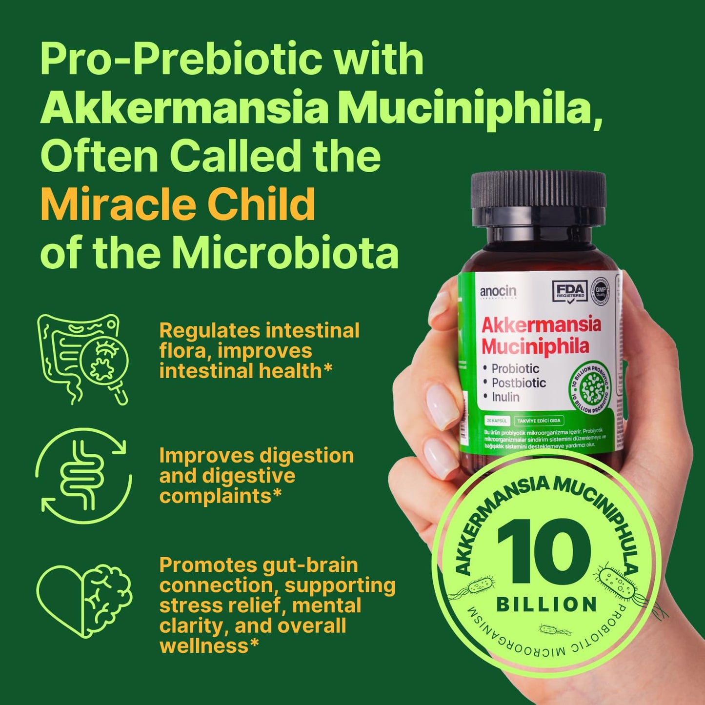 anocin Akkermansia Muciniphila + Probiotic, Postbiotic & Inulin Tablet, 1 Count