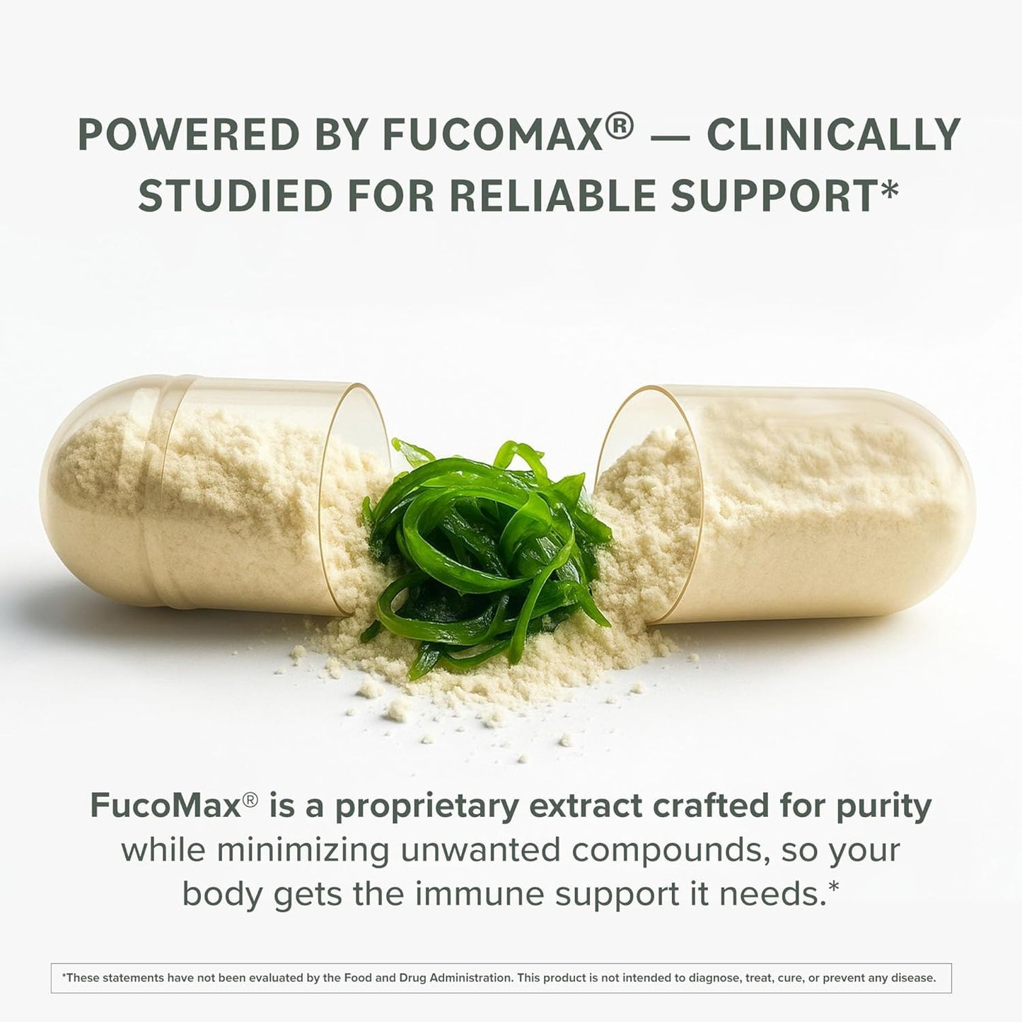 Prominent Nutrition Fucoidan Gut Health & Immune Support Supplement Capsule 60 Count