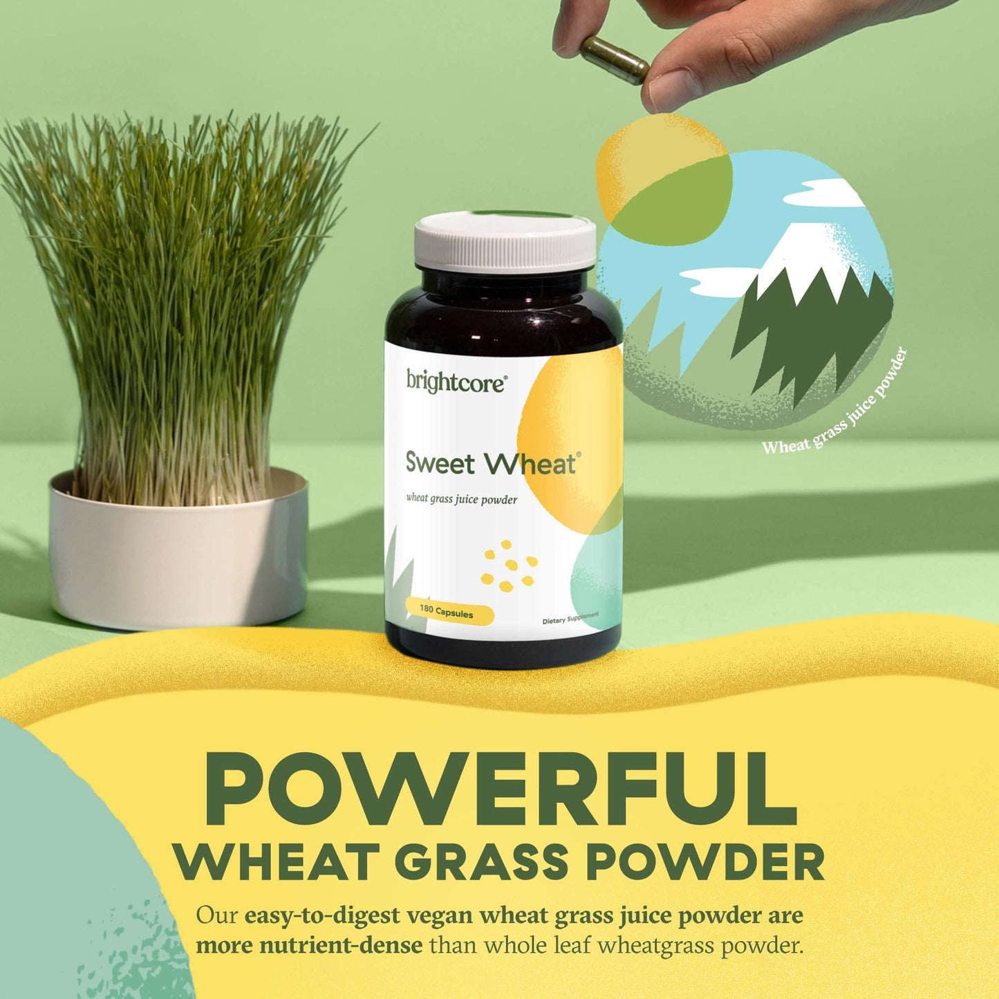 Brightcore Sweet Wheat Wheatgrass Juice Powder Capsules, 180 Count