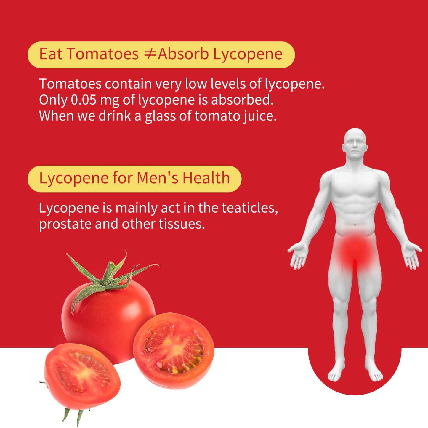 GANOHERB Lycopene Capsule 60 Capsules