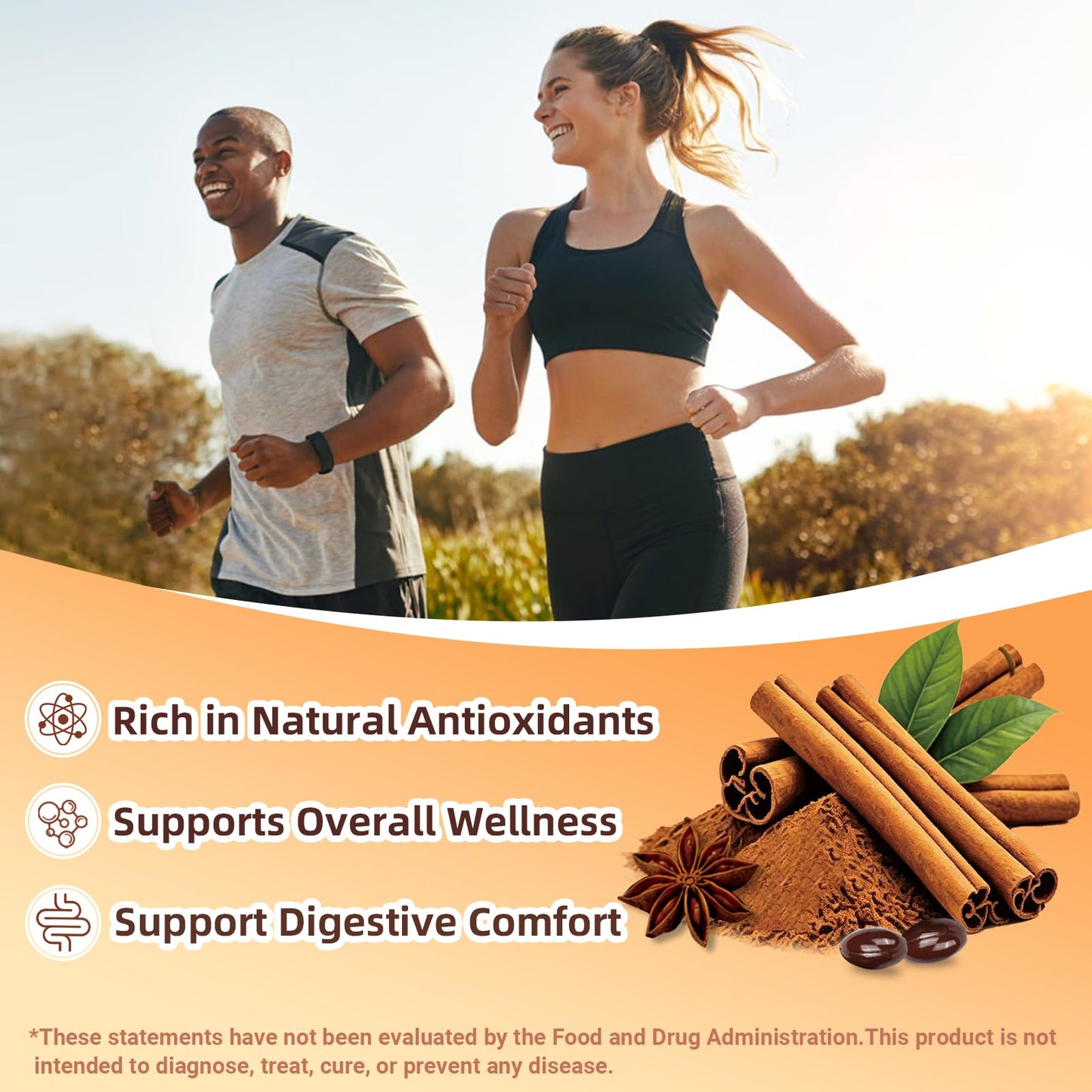BudLive Ceylon Cinnamon Softgel with MCT Oil, Organic, 300 Softgels