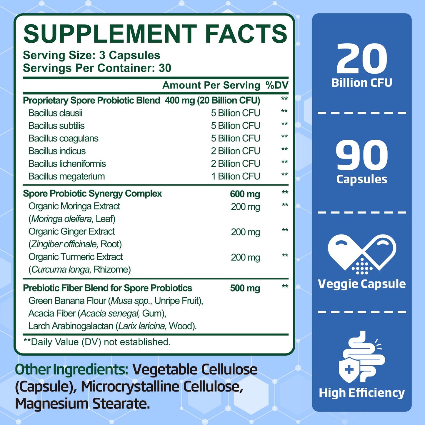 Tylessa Spore Probiotic Bacillus Subtilis 20 Billion CFU Capsules, 90 Count