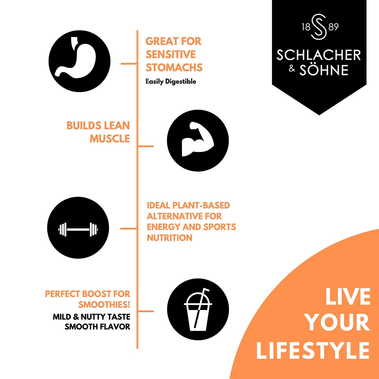 S SCHLACHER & SÖHNE SS 1889 Styrian Pumpkin Seed Protein Powder, 2 Pack