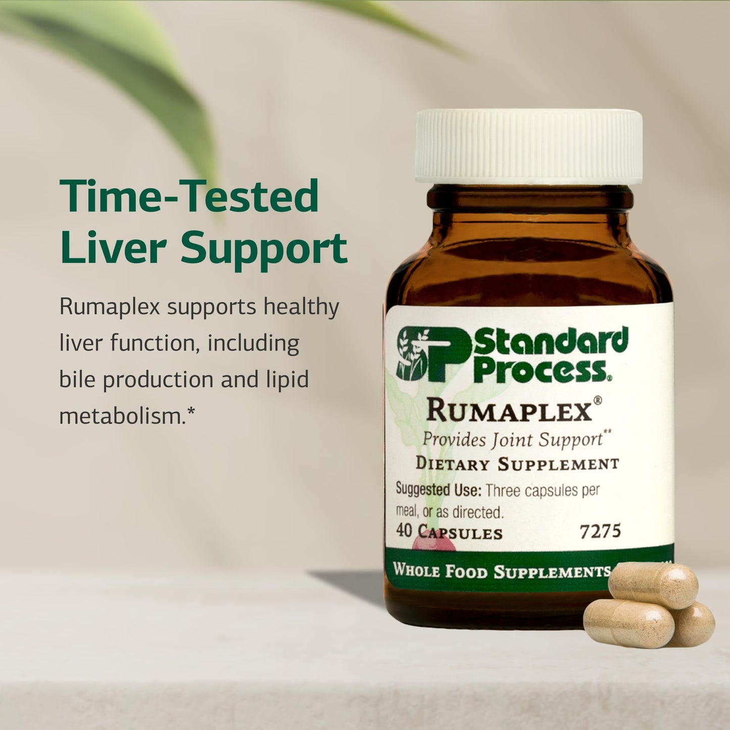 Standard Process Inc. Rumaplex Healthy Liver Support Supplement 40 Capsules