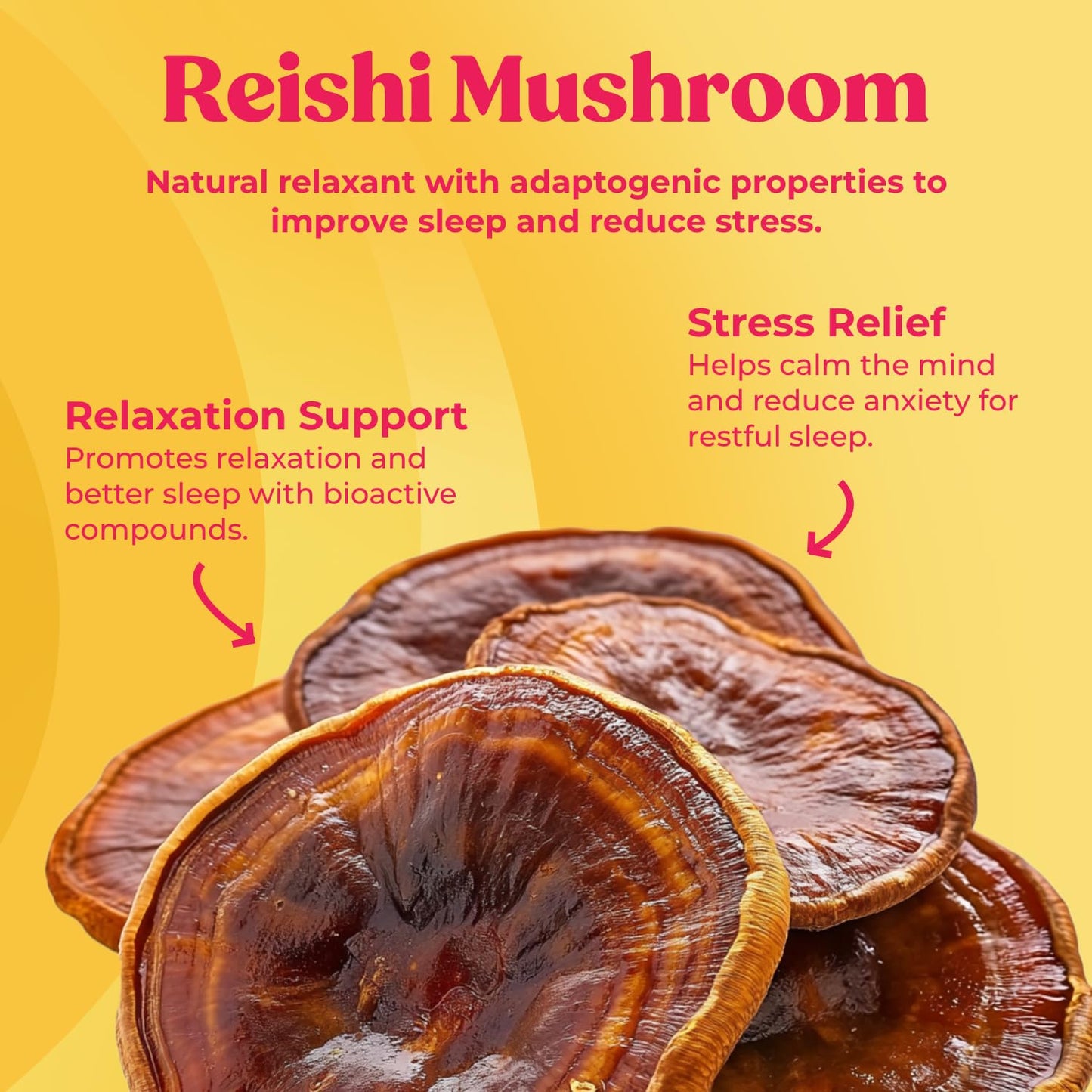 Fungiments Super Chill Reishi Mushroom Supplement 60 Capsules