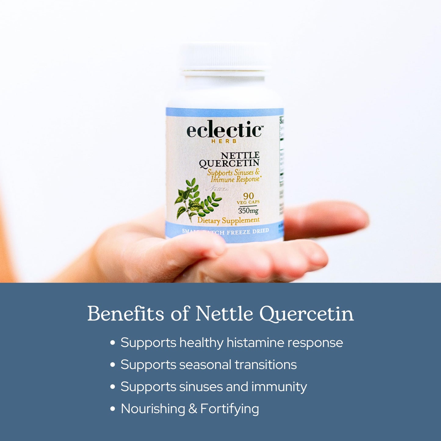 ECLECTIC INSTITUTE Nettle Quercetin Capsules 90 Count