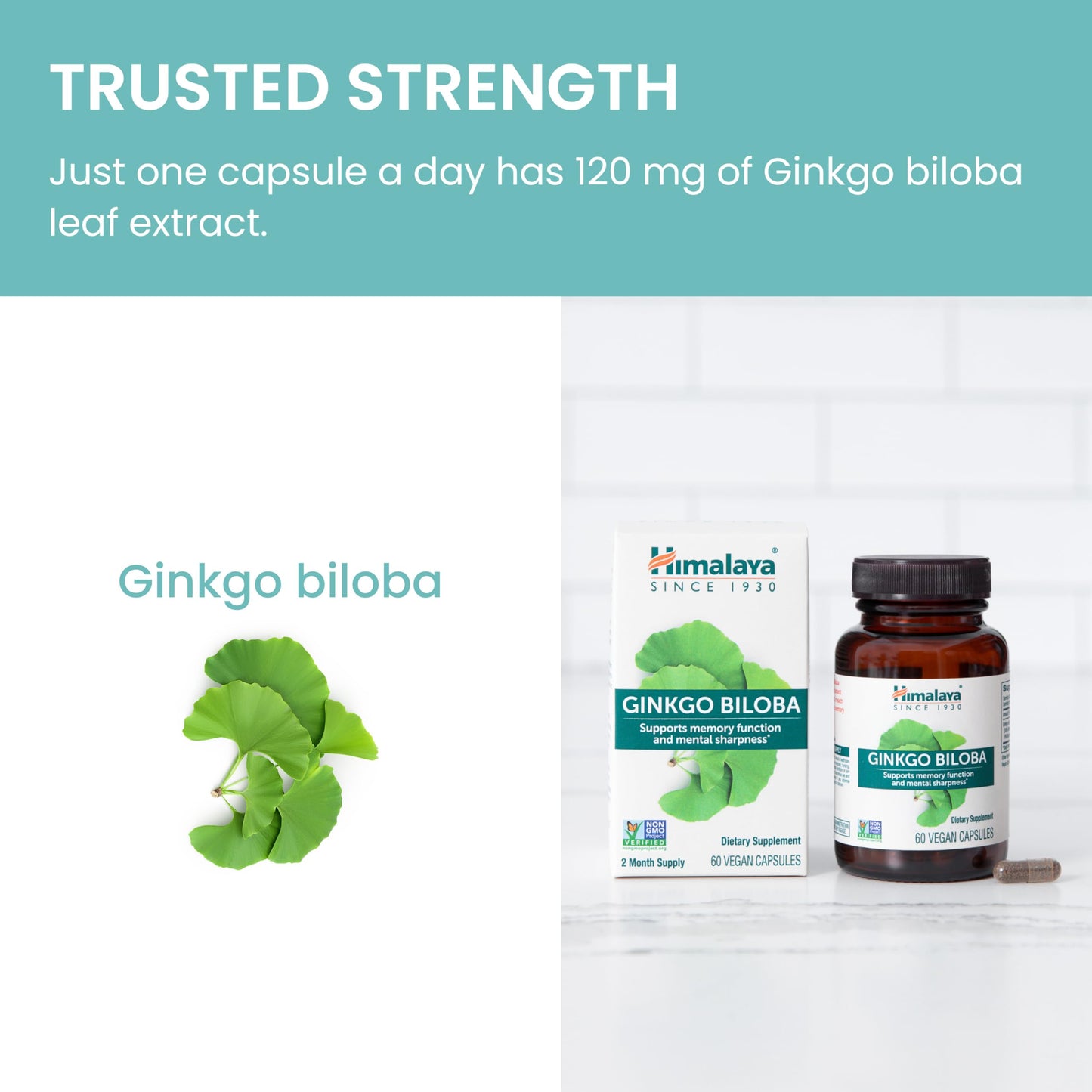 Himalaya Ginkgo Biloba Capsules, 60 Count