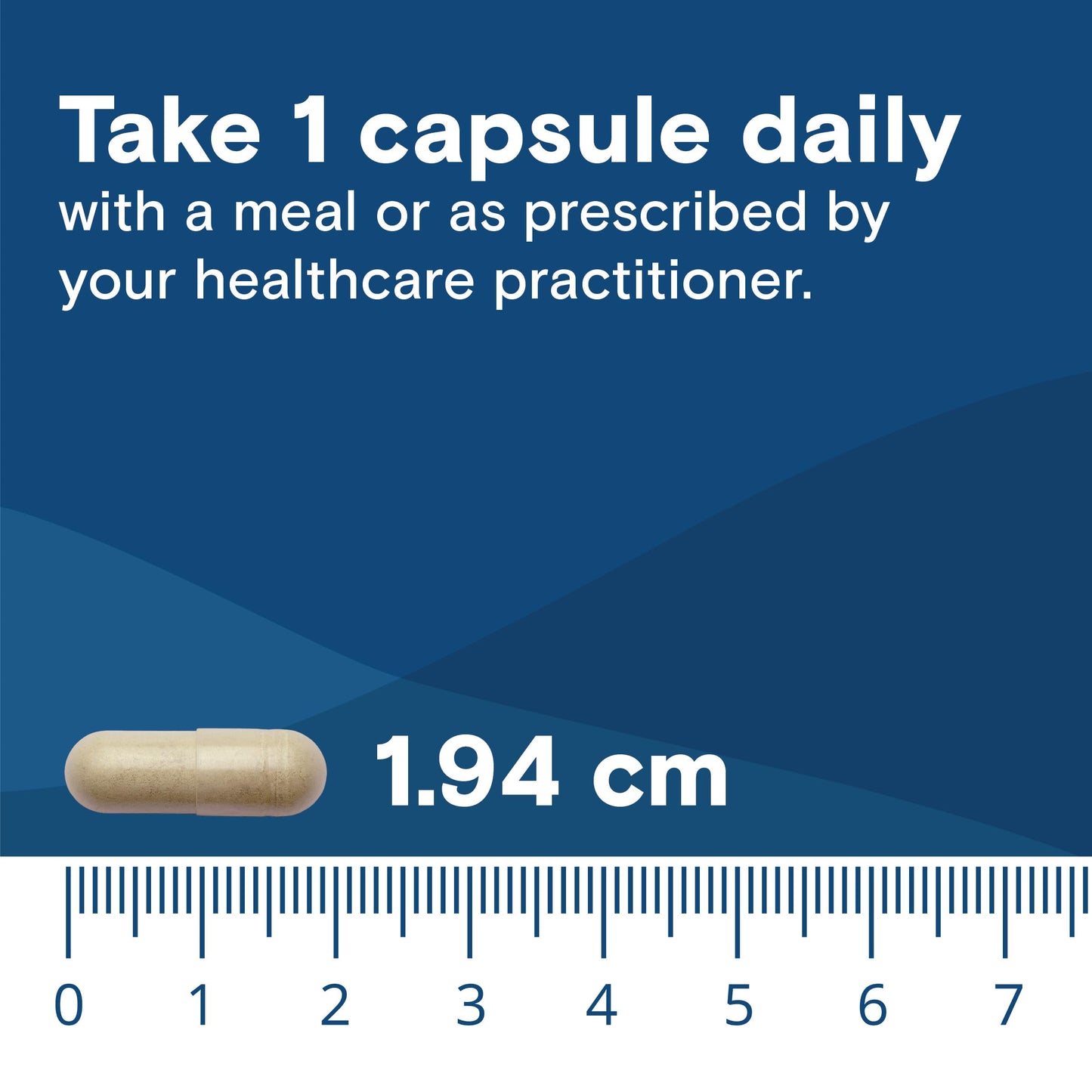 Bariatric Fusion Stress Support Capsule, 60 Count
