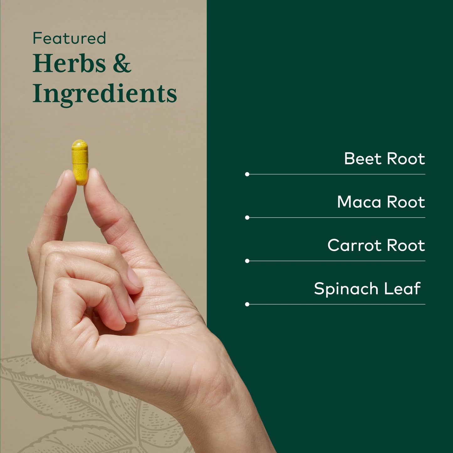 Gaia Herbs PRO Fermented Beet & Maca Capsules, 60 Count