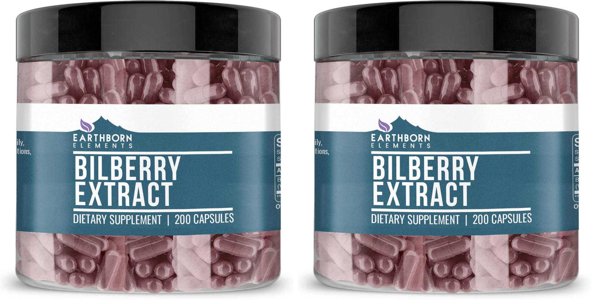 Earthborn Elements Bilberry Extract Capsules 400