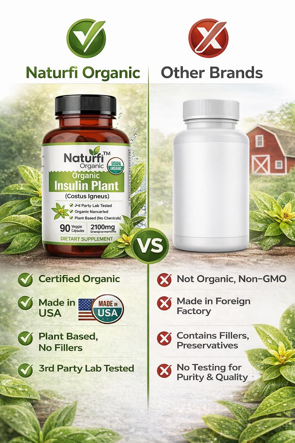 Naturfi Organic Insulin Plant Capsules 90 Count