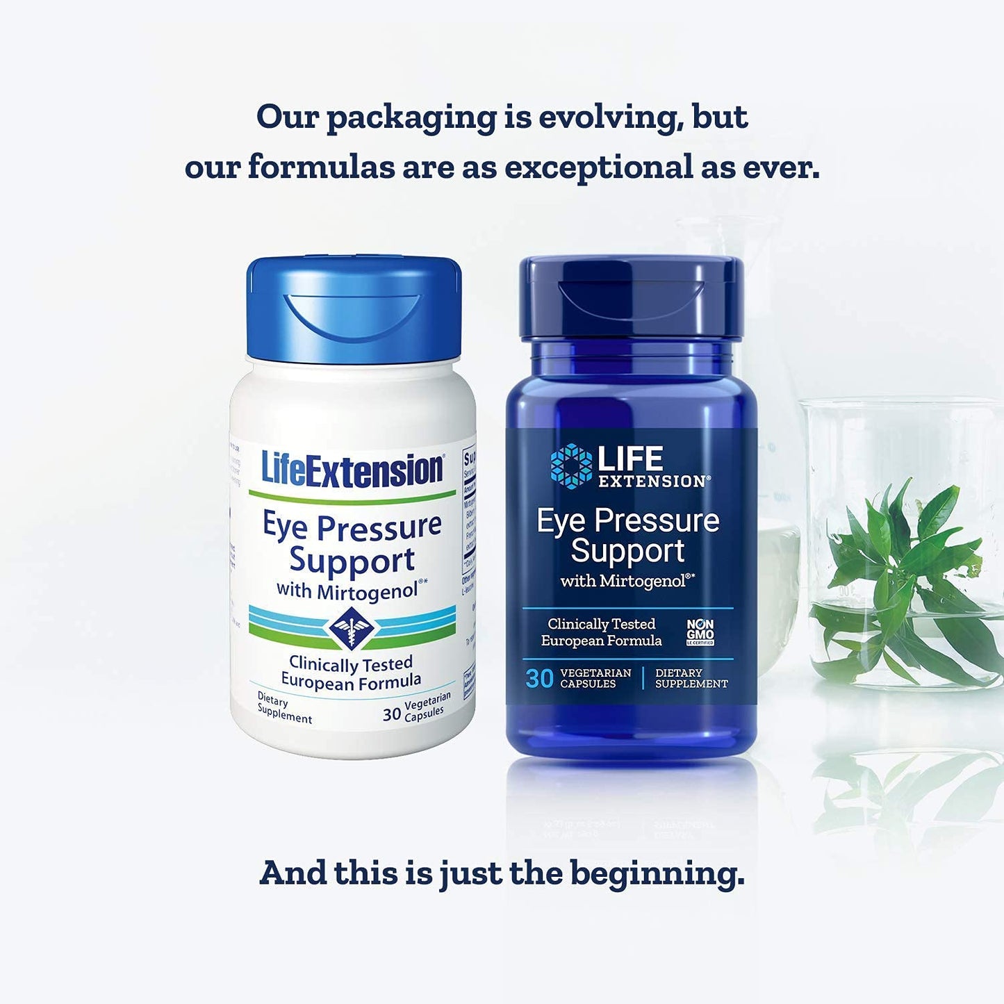 Life Extension Eye Pressure Support with Mirtogenol Capsule, 30 Capsules