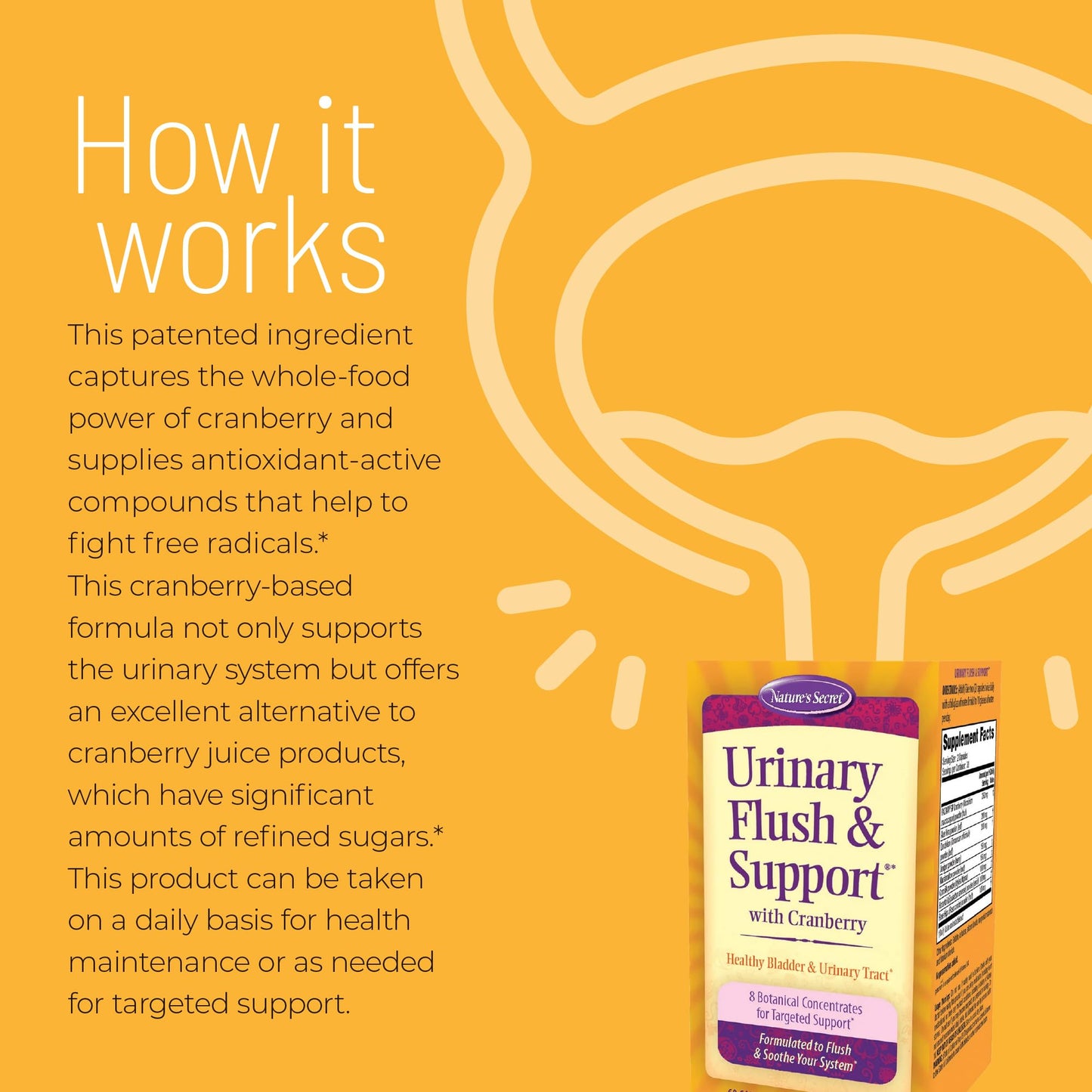 Nature's Secret Urinary Flush & Support with Cranberry, 60 Capsules