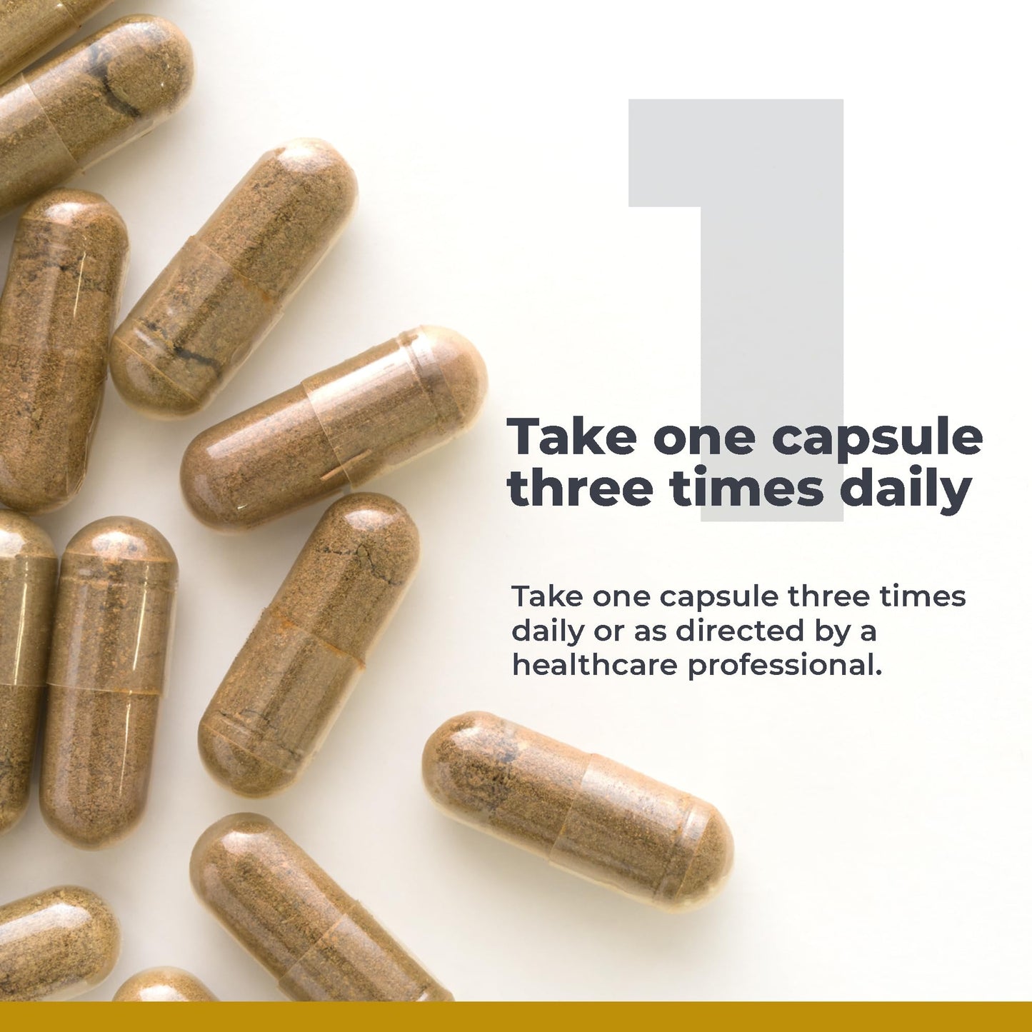 Premier Research Labs RenaVen Kidney Support Capsules 60 Count