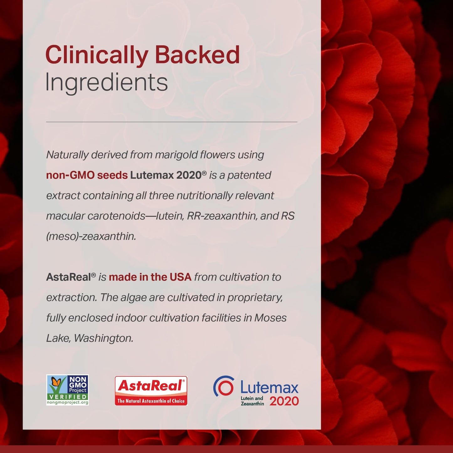 Anew Vita Lutein Astaxanthin Zeaxanthin Softgels, 30 Count