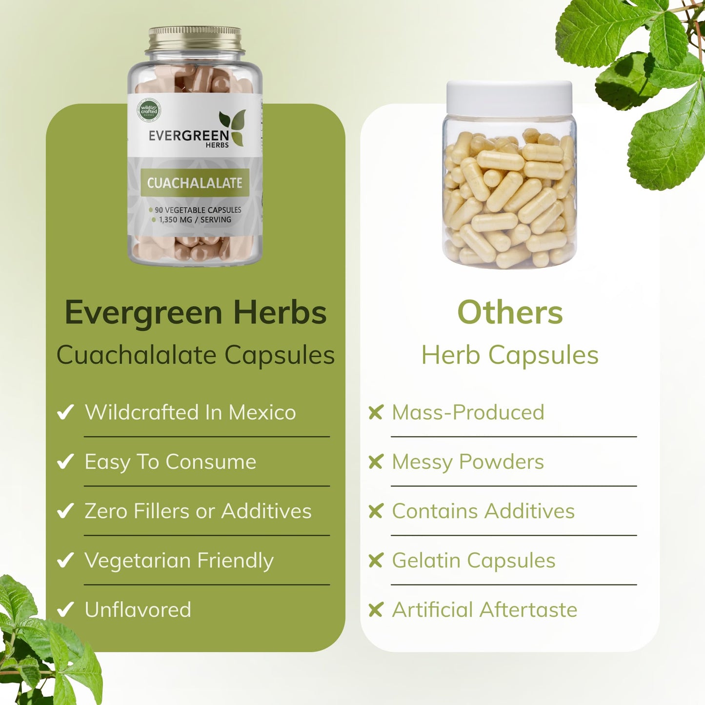 Evergreen Herbs Cuachalalate Capsules 90 Count