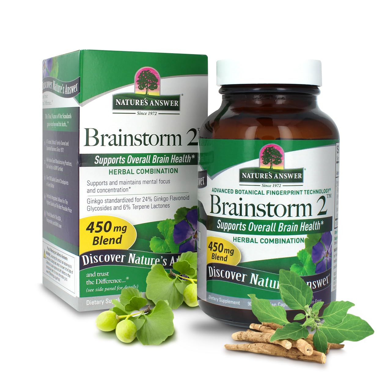 Nature's Answer Brainstorm 2 Vegetarian Capsules, 90 Capsules