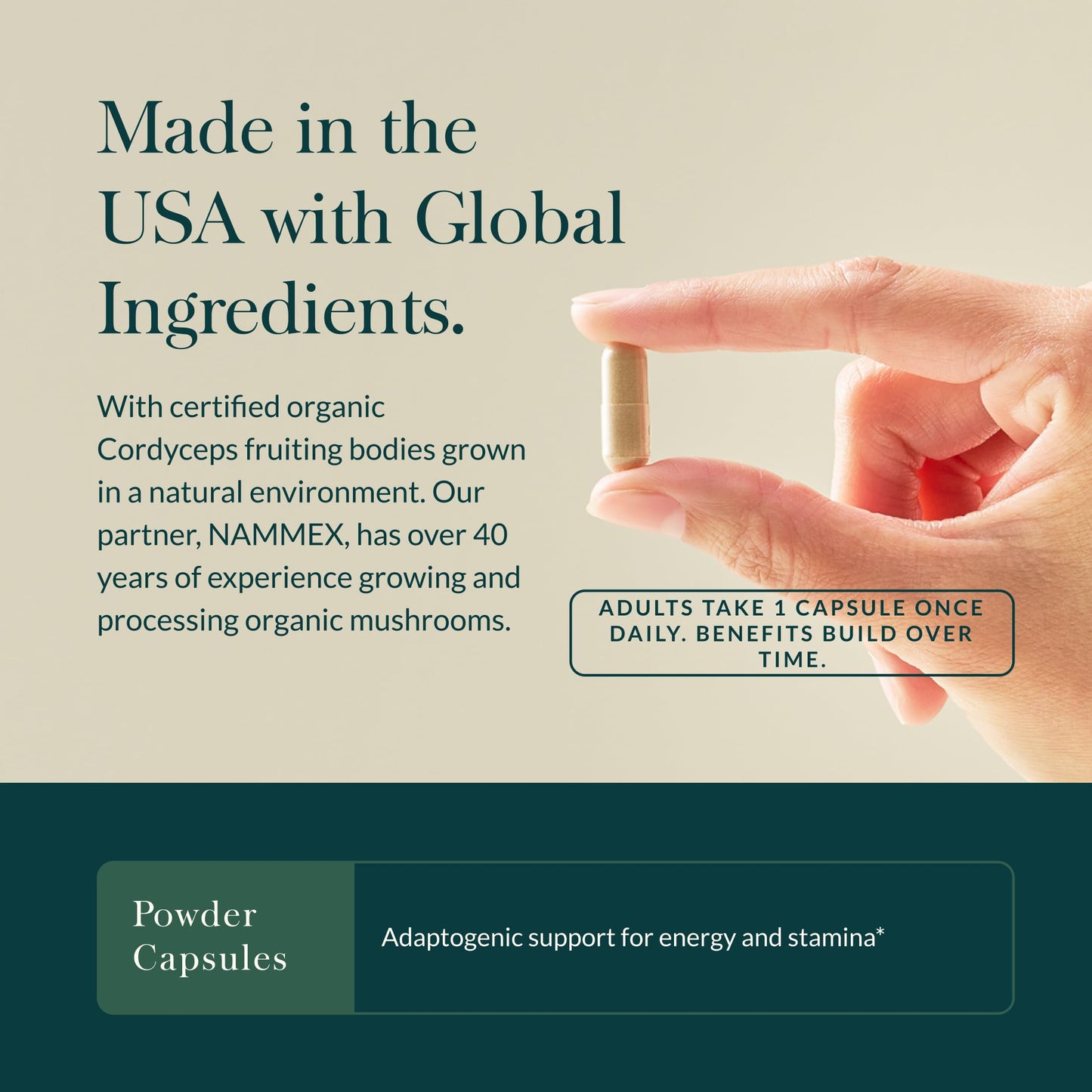Gaia Herbs Cordyceps Mushroom Capsules 40 Count
