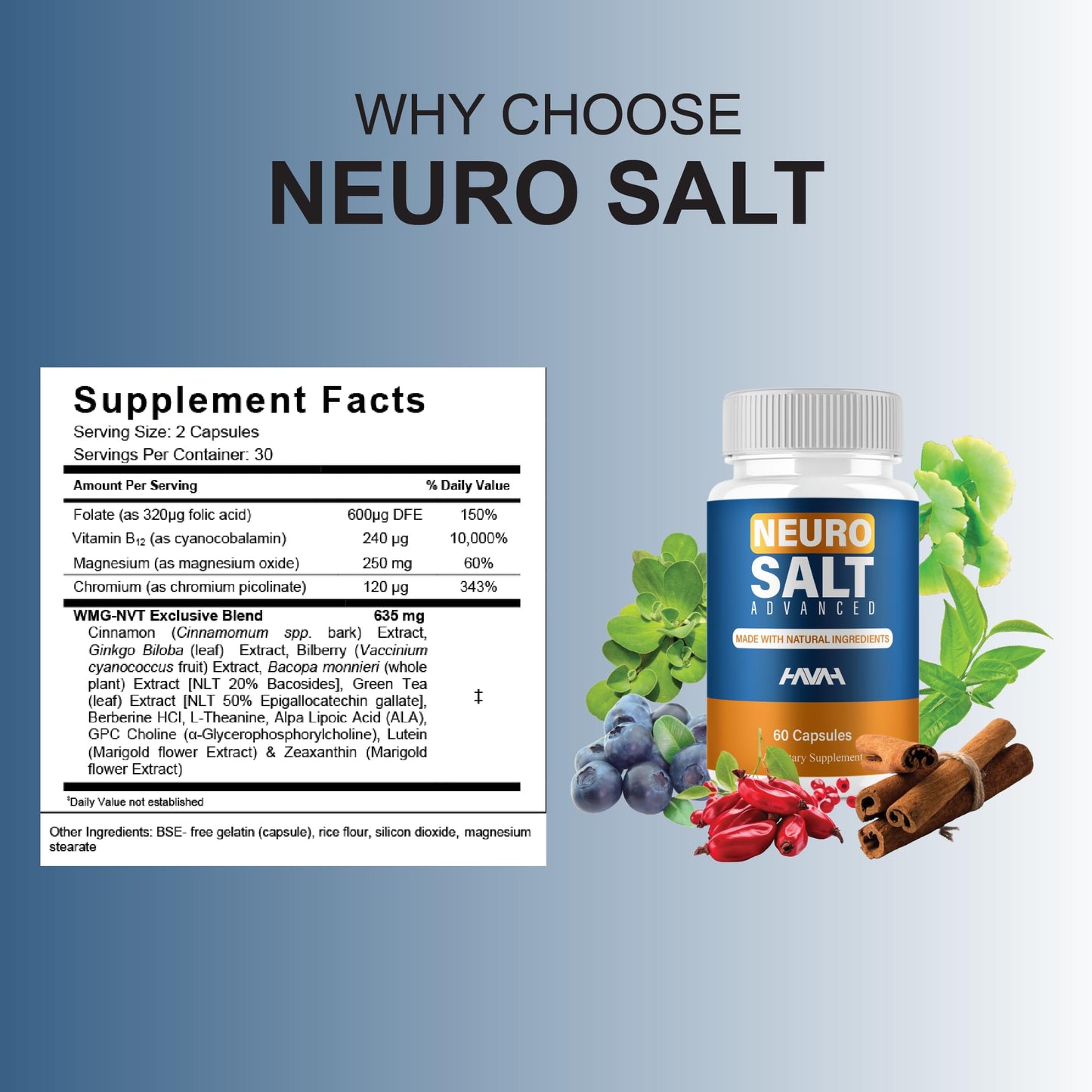 BLUE VIBE Neuro Salt Advanced Premium Health and Wellness Nootropic Capsules, 300 Capsules