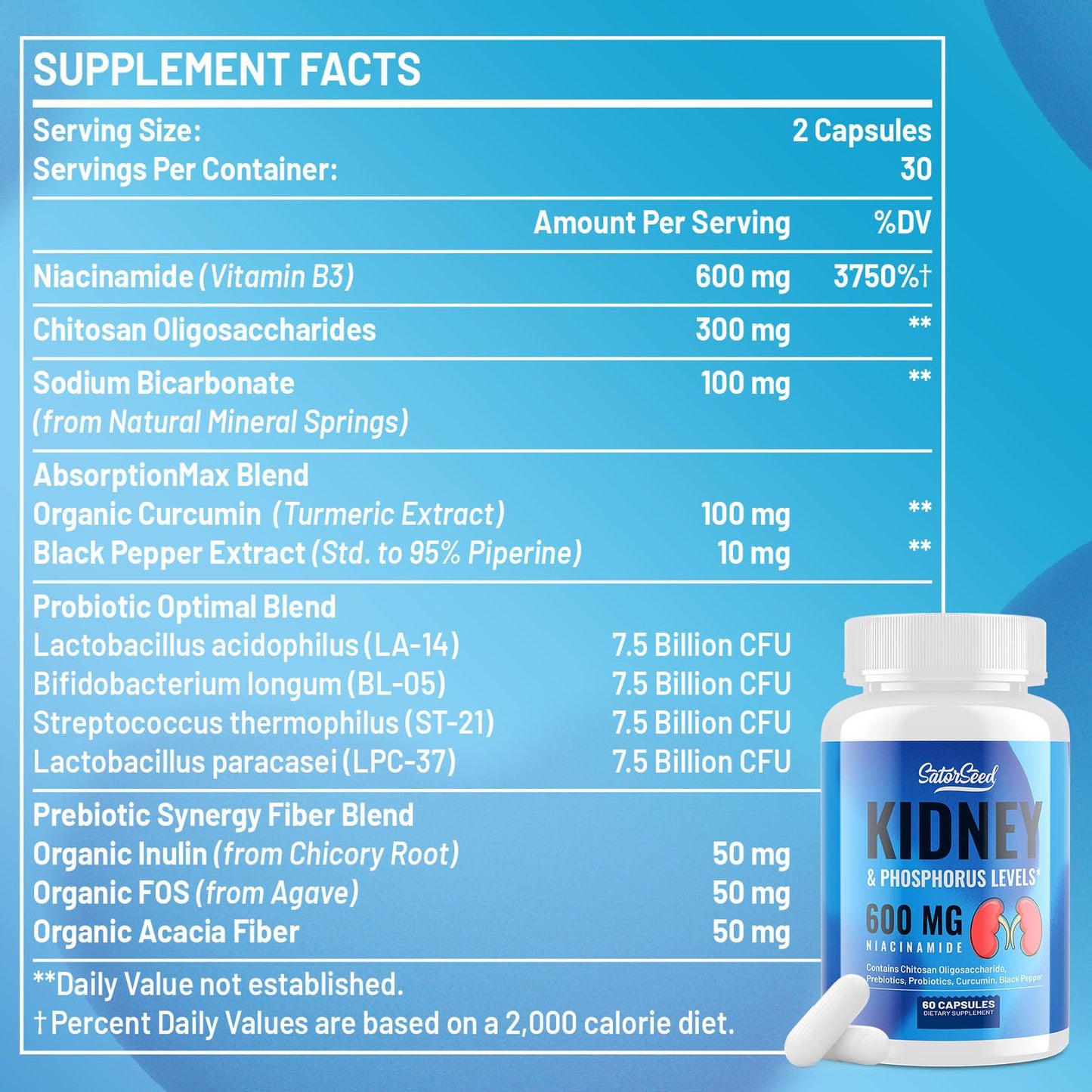 SatorSeed Kidney Support Supplement Capsule 60 Count