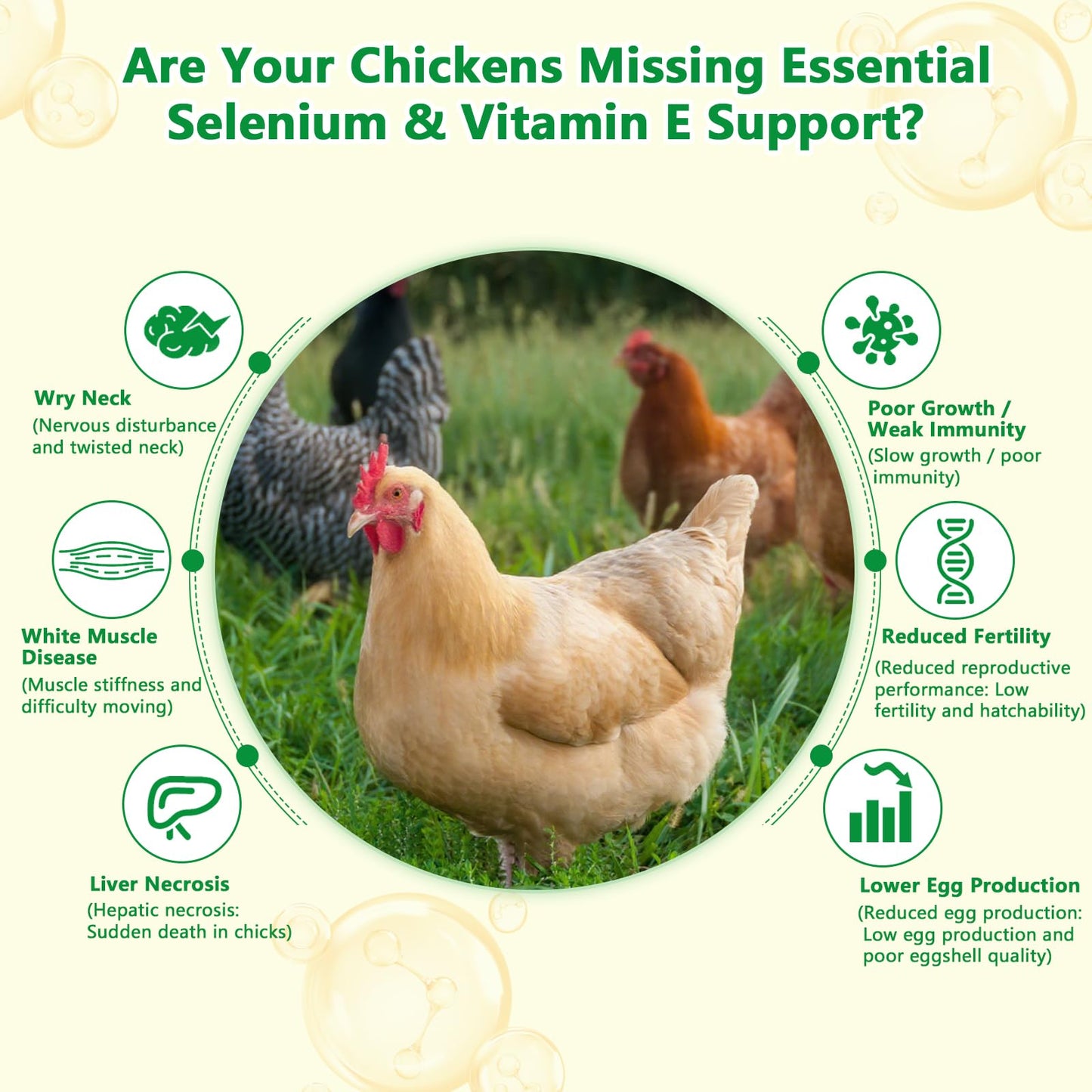 BiKontrun Selenium and Vitamin E Powder for Chickens, Powder, 1